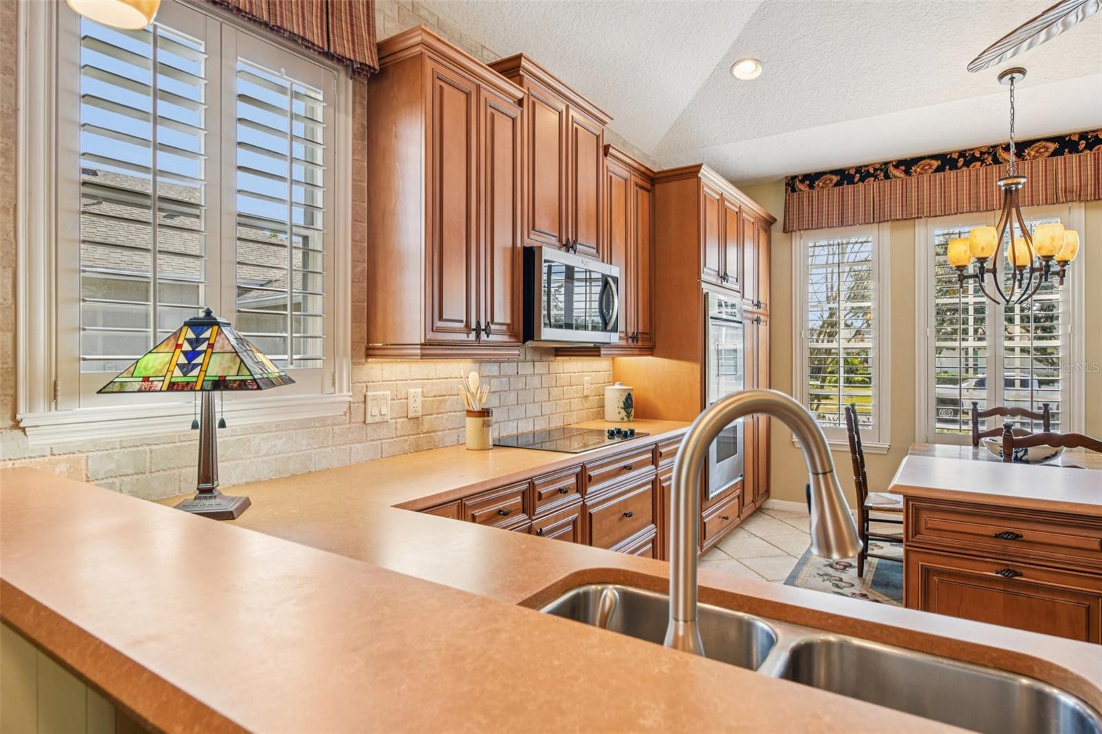 8013 PINE HOLLOW DR, MOUNT DORA, FL, 32757