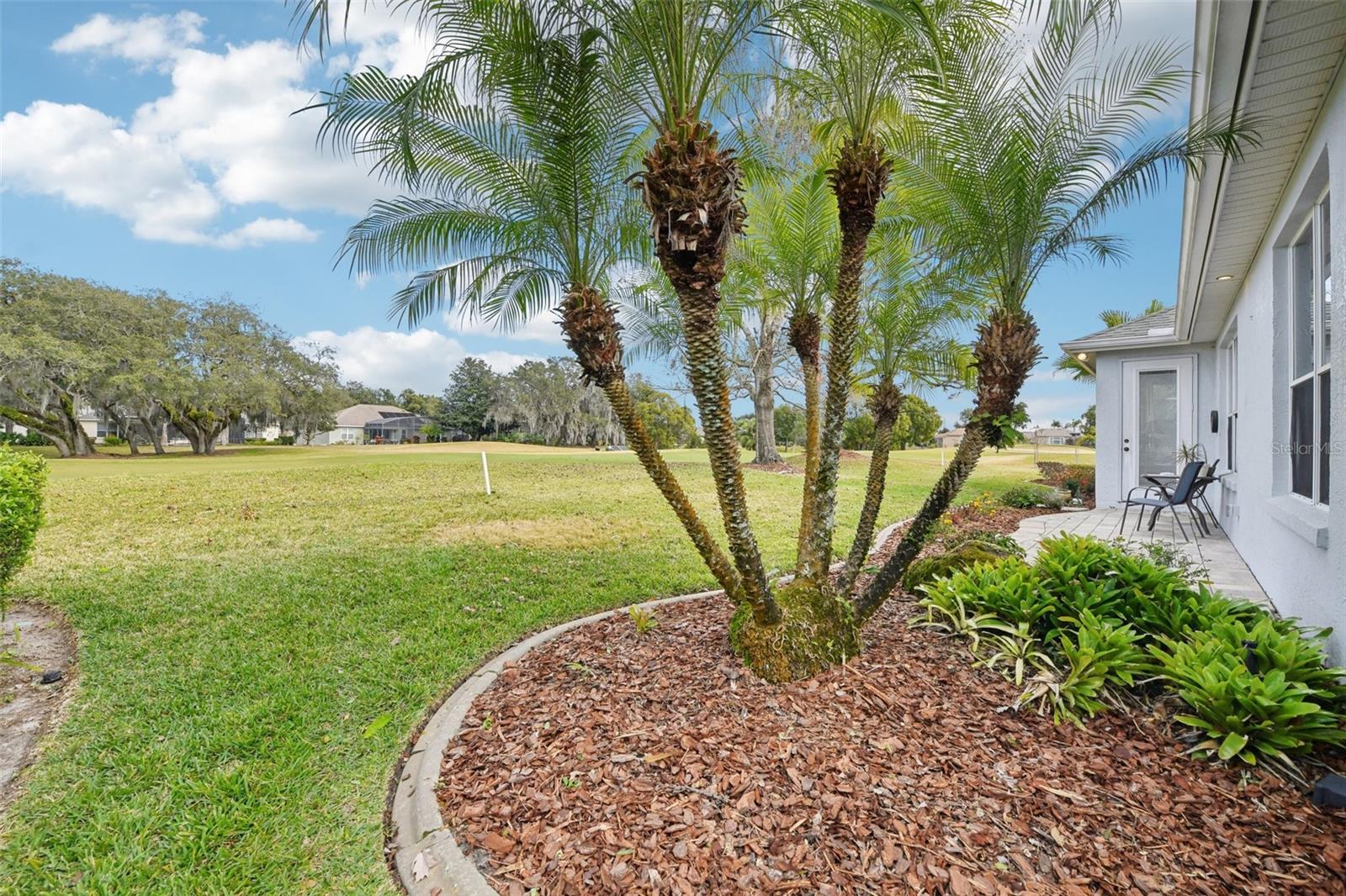 8013 PINE HOLLOW DR, MOUNT DORA, FL, 32757