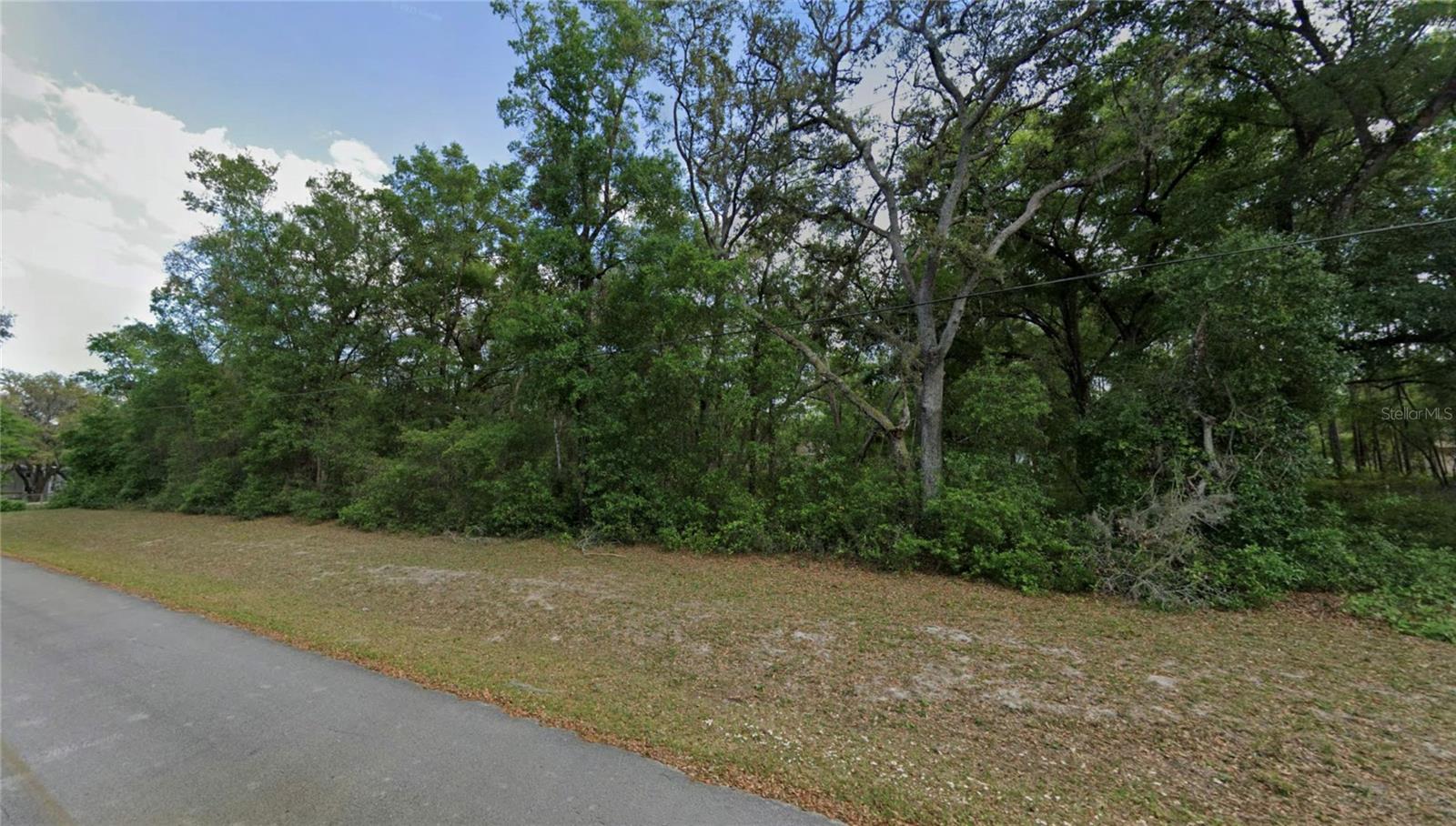 TBD SE 59TH ST, OCKLAWAHA, FL, 32179