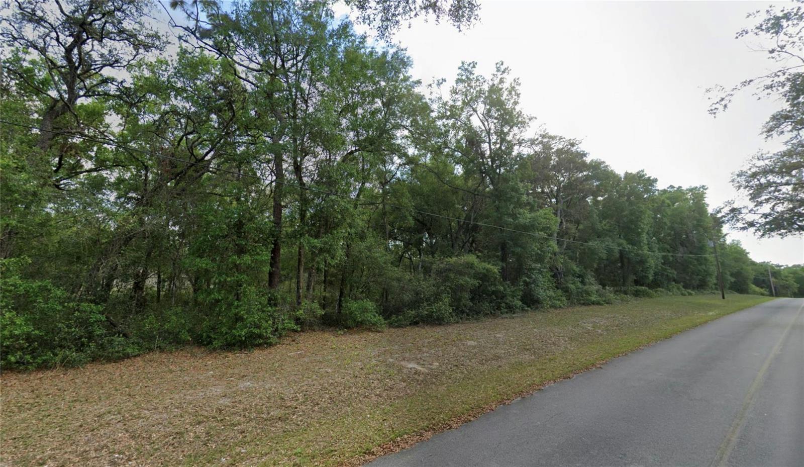 TBD SE 59TH ST, OCKLAWAHA, FL, 32179