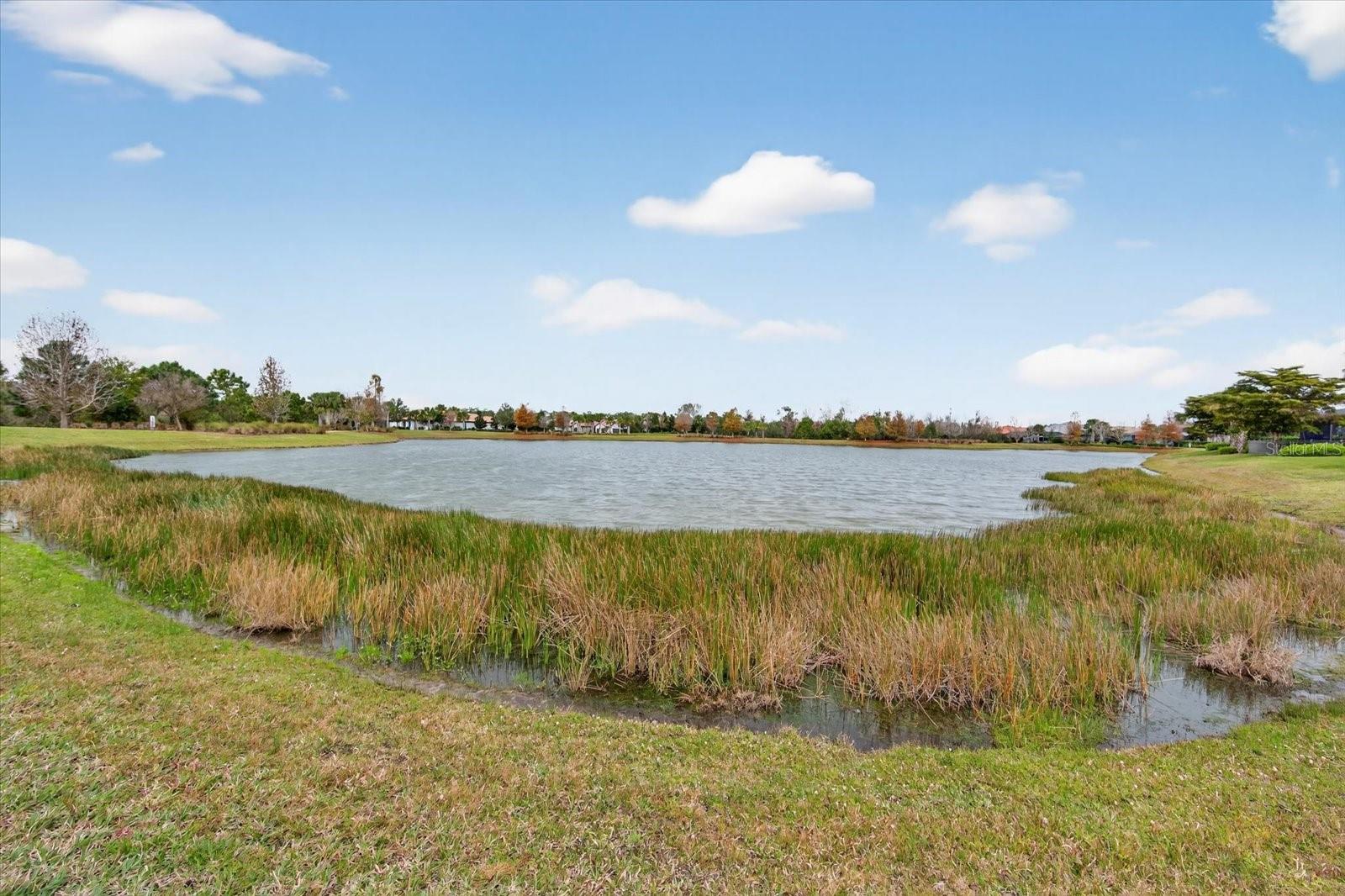 16915 LOUDON PL, BRADENTON, FL, 34202