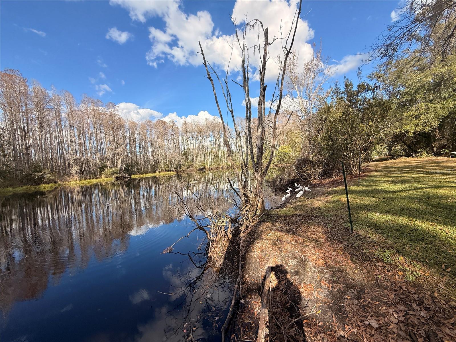 W7882034 Property Photo