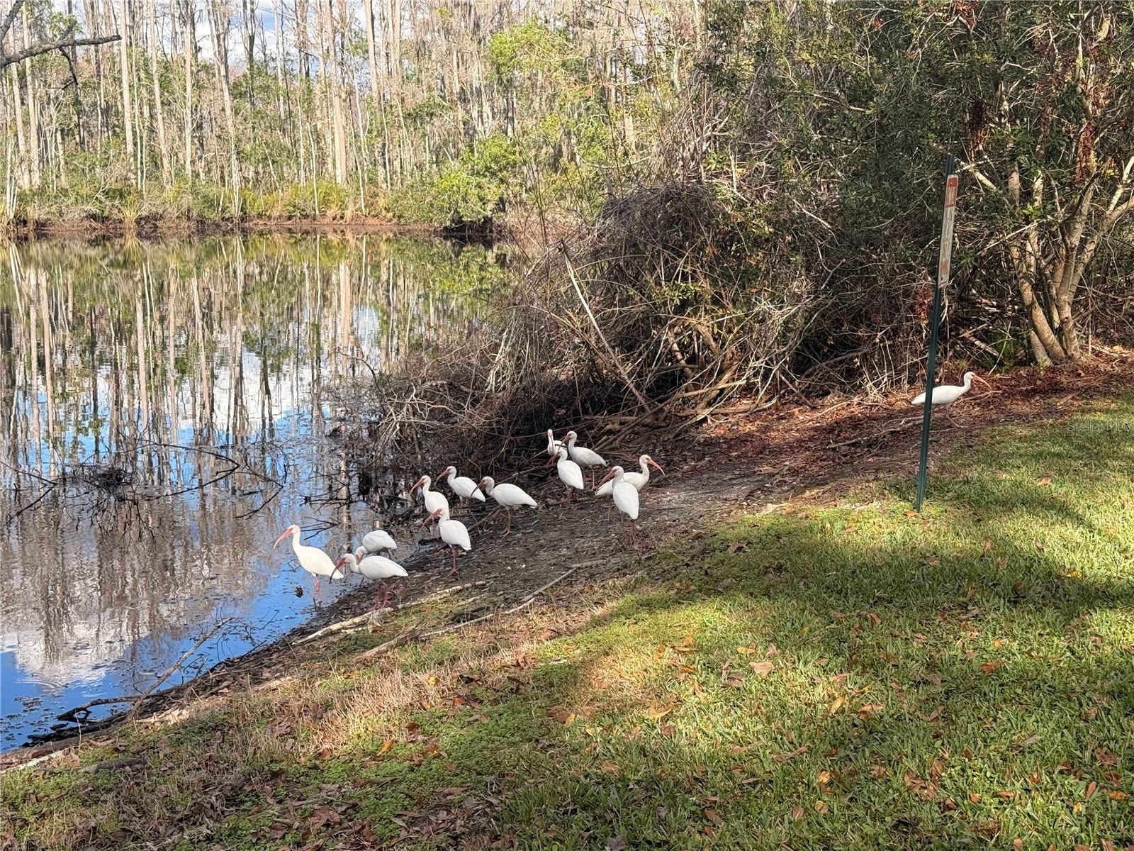 W7882034 Property Photo