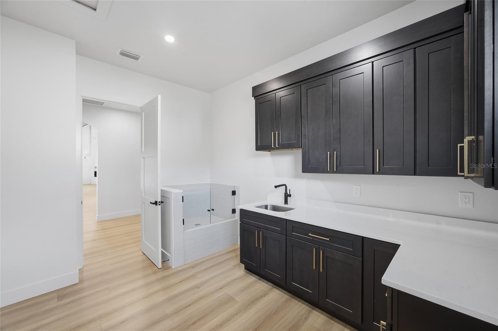 Laundry with Pet Bath