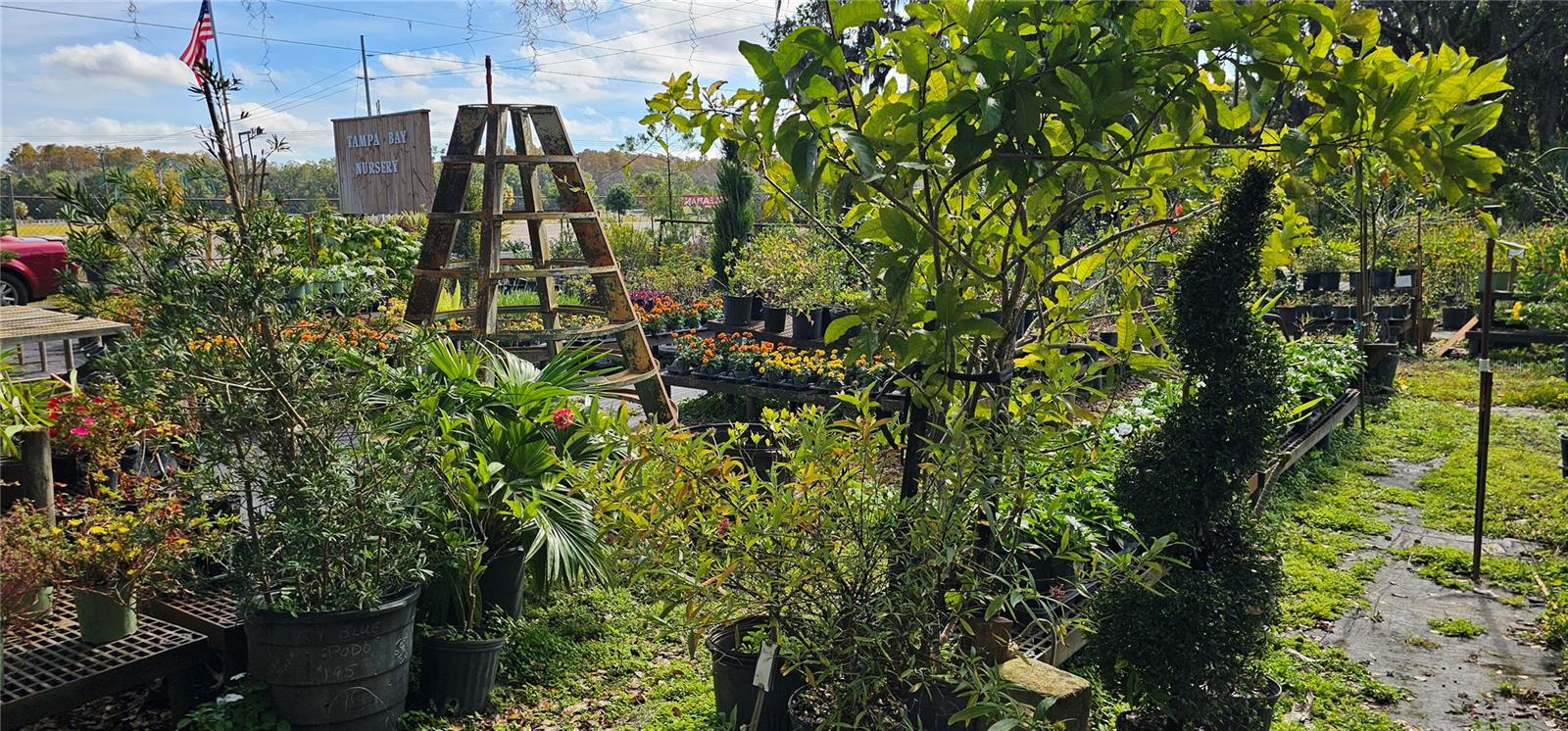 TB8463972 Property Photo