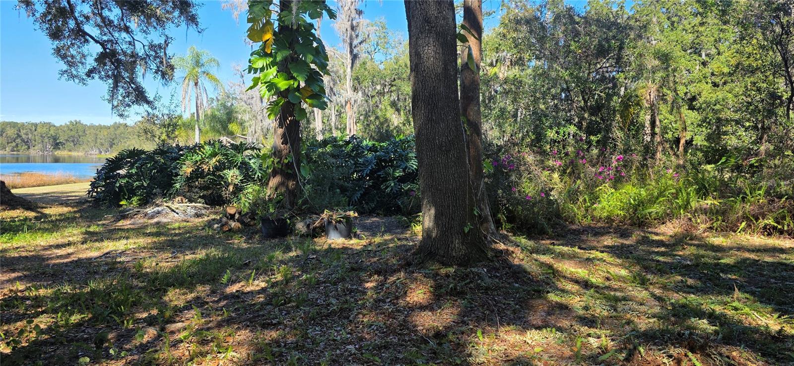 TB8463972 Property Photo