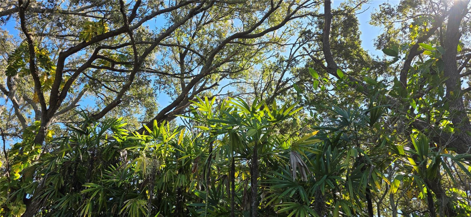 TB8463972 Property Photo