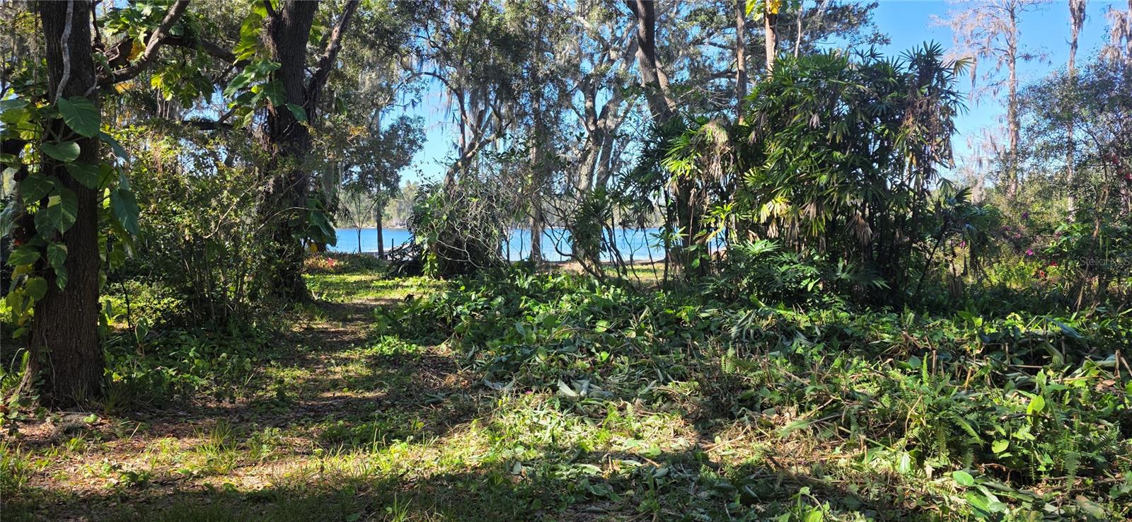 TB8463972 Property Photo