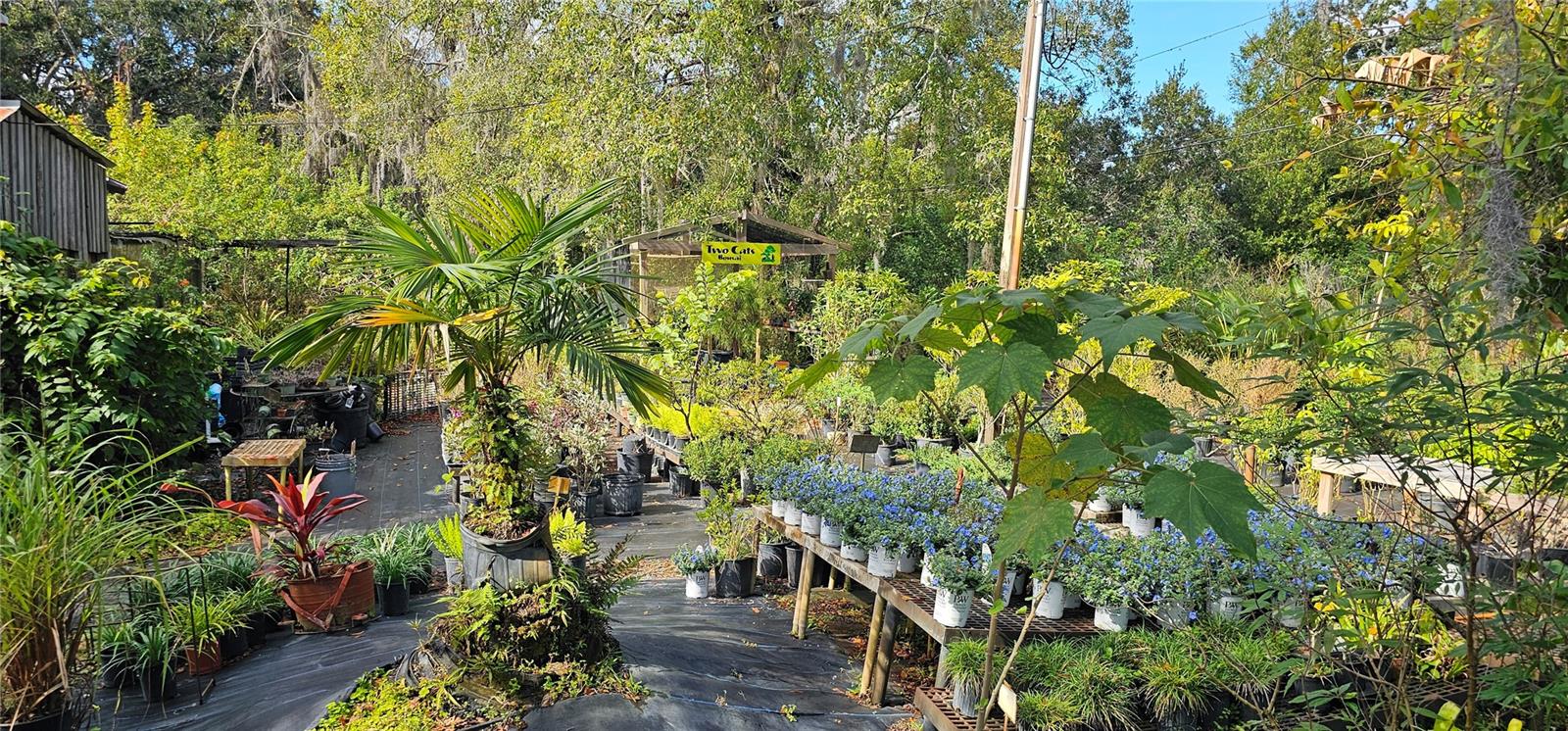 TB8463972 Property Photo