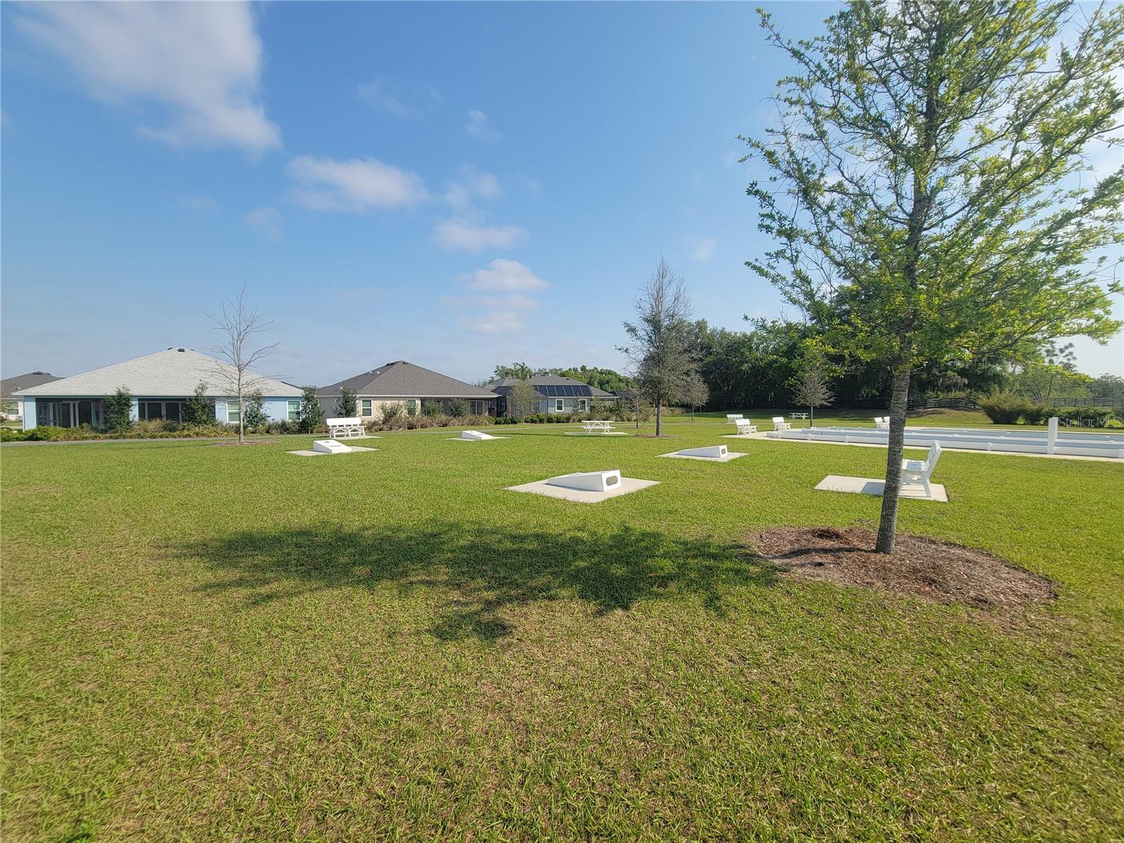 842 SPRING AVE, THE VILLAGES, FL, 34762