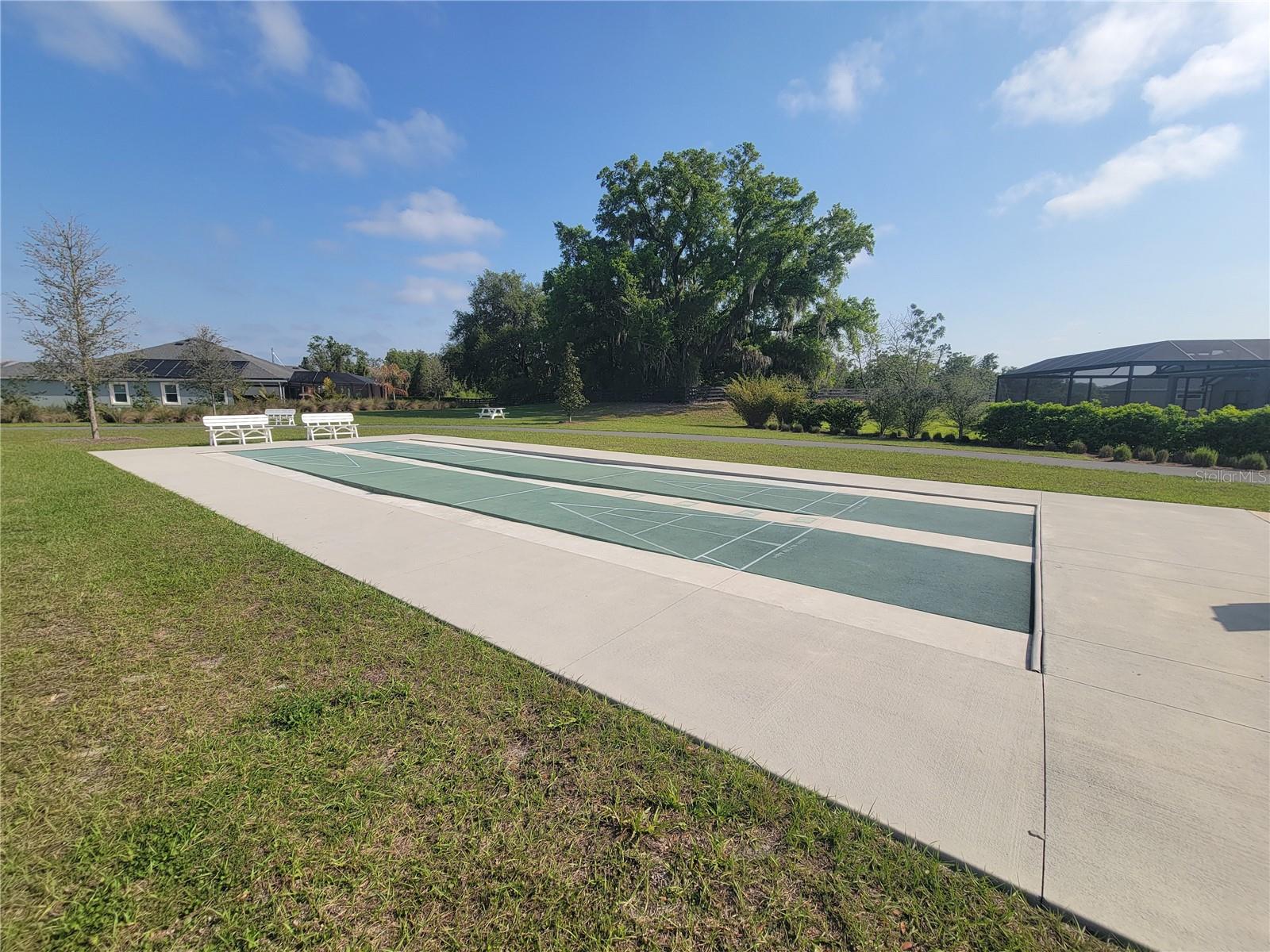 842 SPRING AVE, THE VILLAGES, FL, 34762