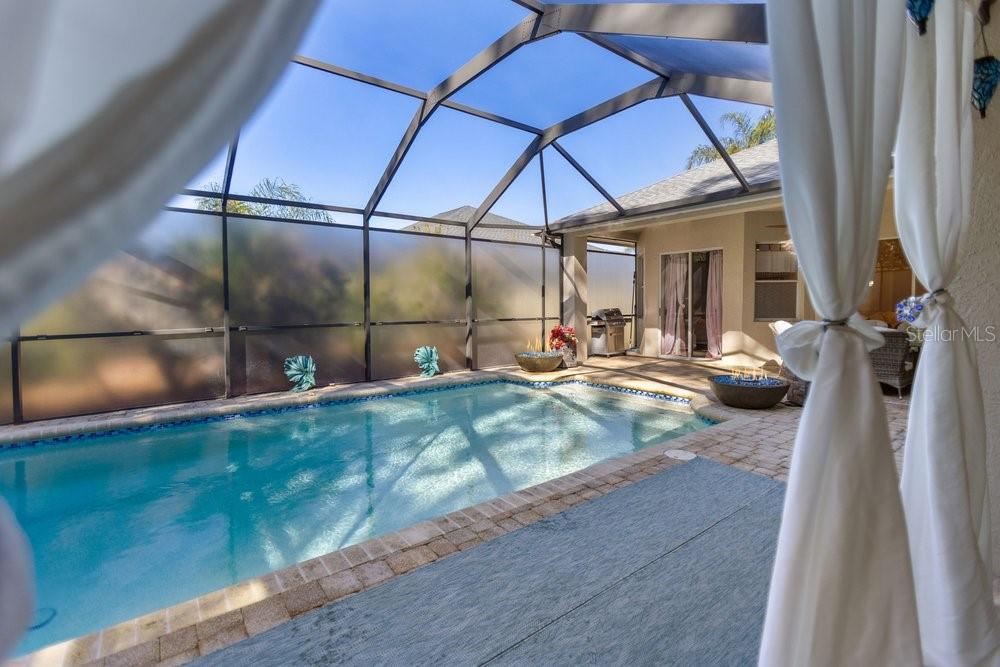 9050 CALLAWAY DR, TRINITY, FL, 34655