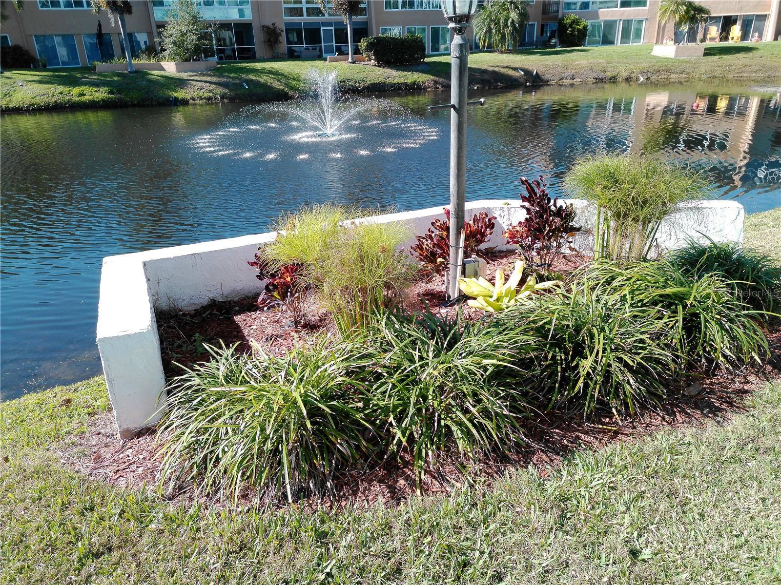 Pond with Fountain that lights up at night