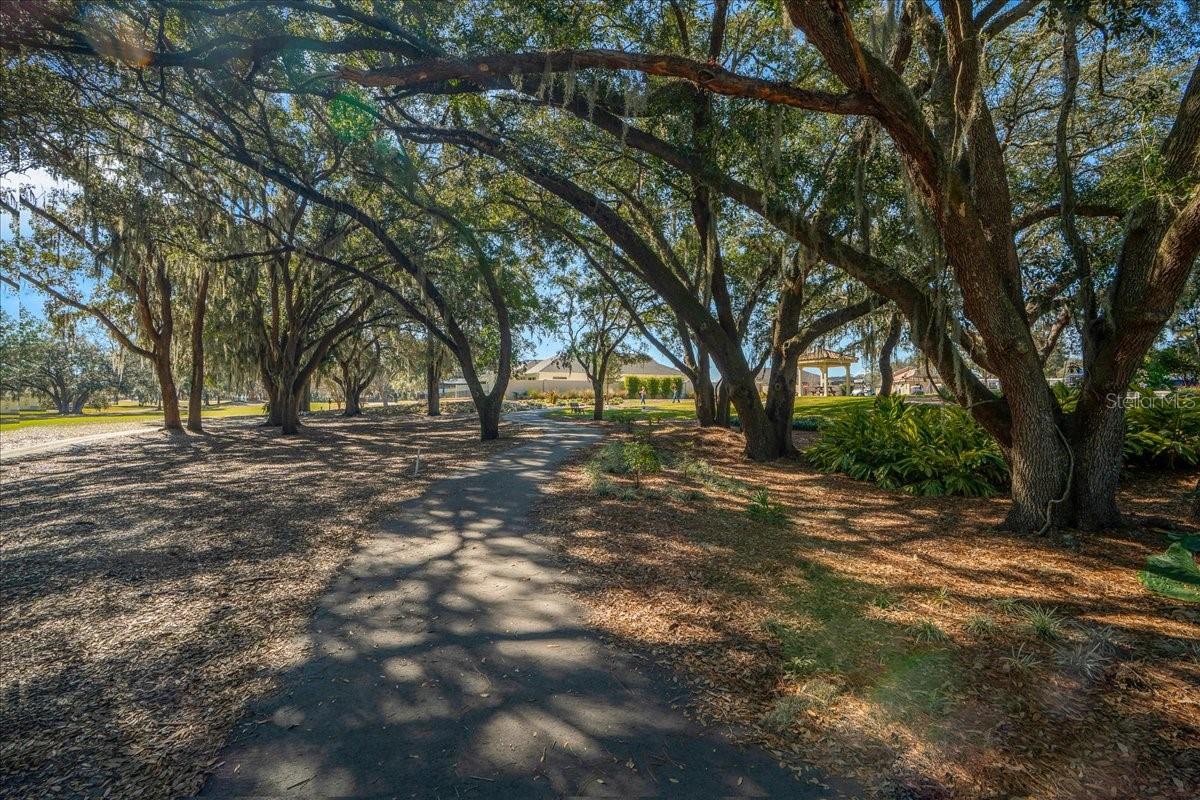 922 SOLEDAD WAY, THE VILLAGES, FL, 32159