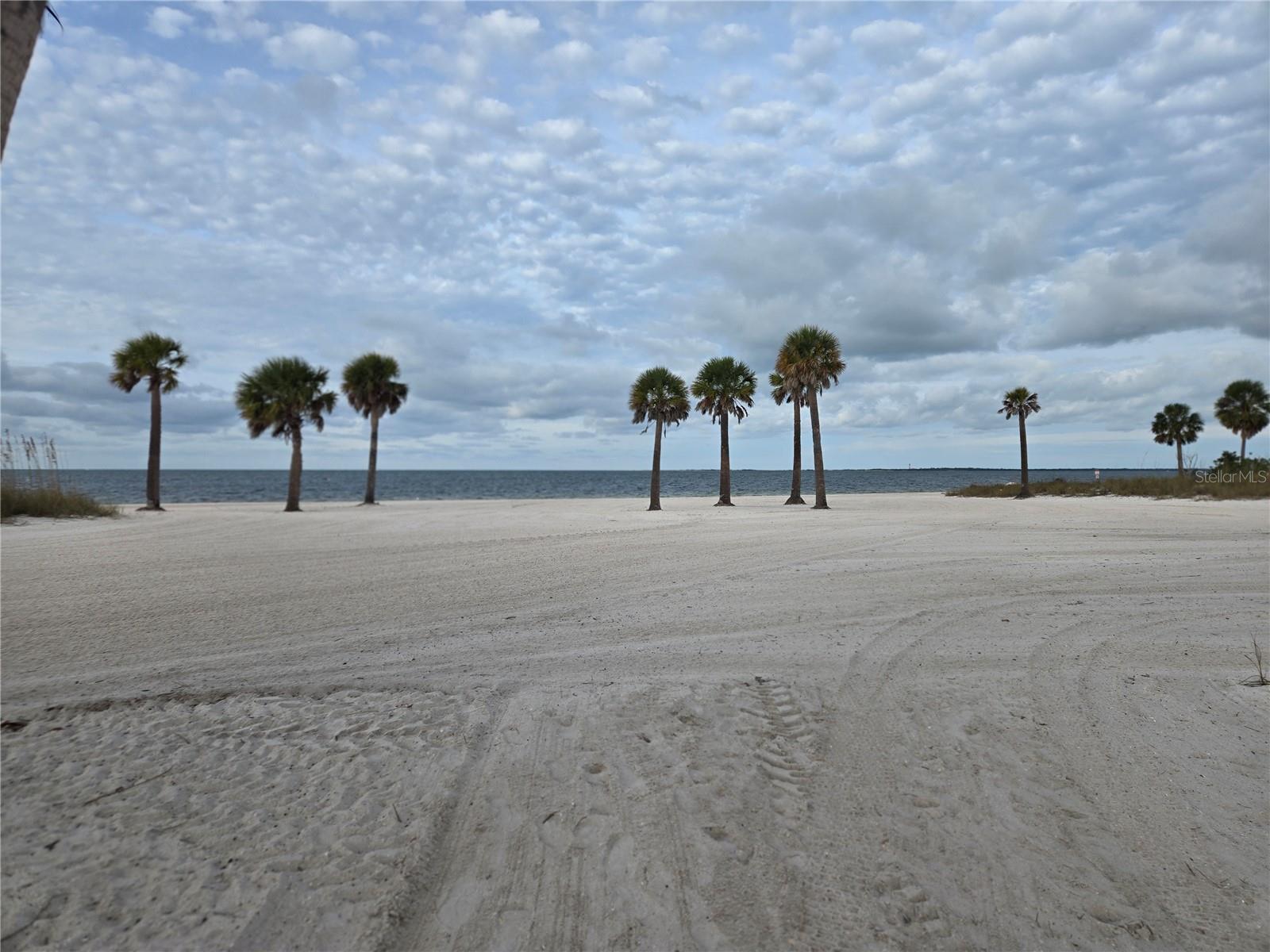 747 CAJEPUT LOOP, TARPON SPRINGS, FL, 34689