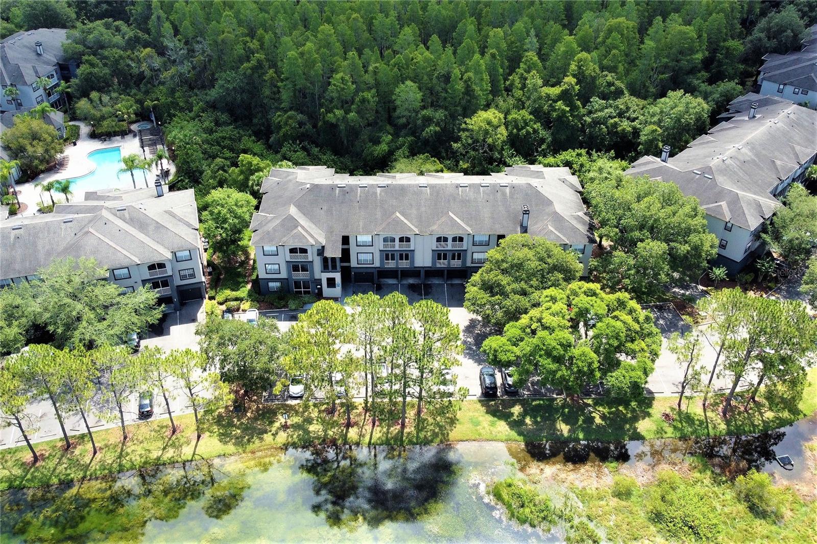 13235 SANCTUARY COVE DR #201, TEMPLE TERRACE, FL, 33637