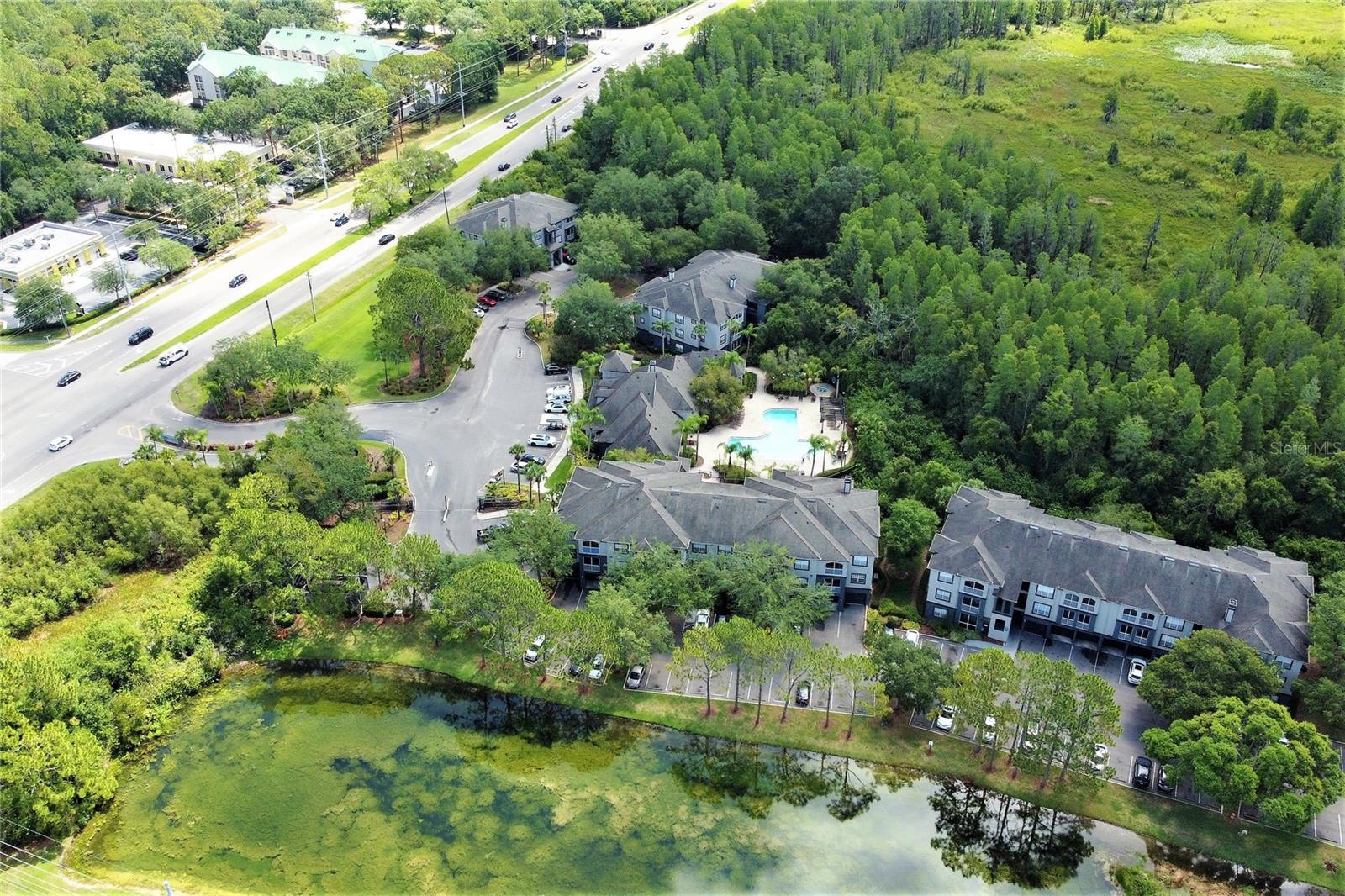 13235 SANCTUARY COVE DR #201, TEMPLE TERRACE, FL, 33637