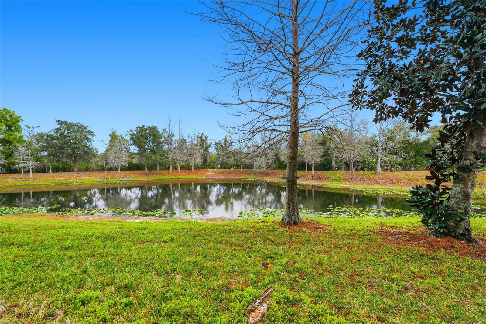 9024 WHITE SAGE LOOP #37, LAKEWOOD RANCH, FL, 34202