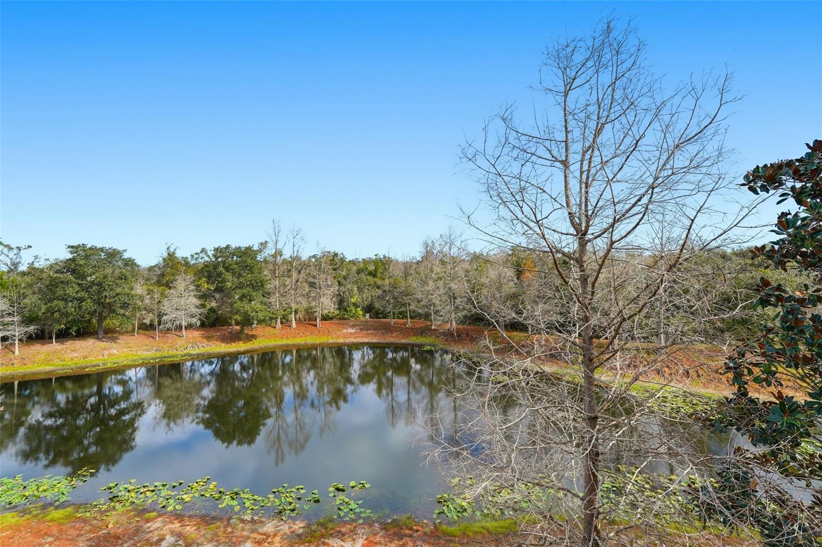 9024 WHITE SAGE LOOP #37, LAKEWOOD RANCH, FL, 34202