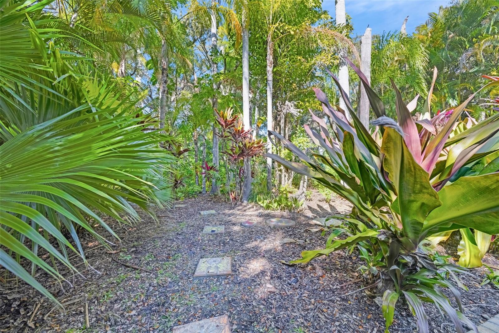 1407 N BAYSHORE DR, SAFETY HARBOR, FL, 34695