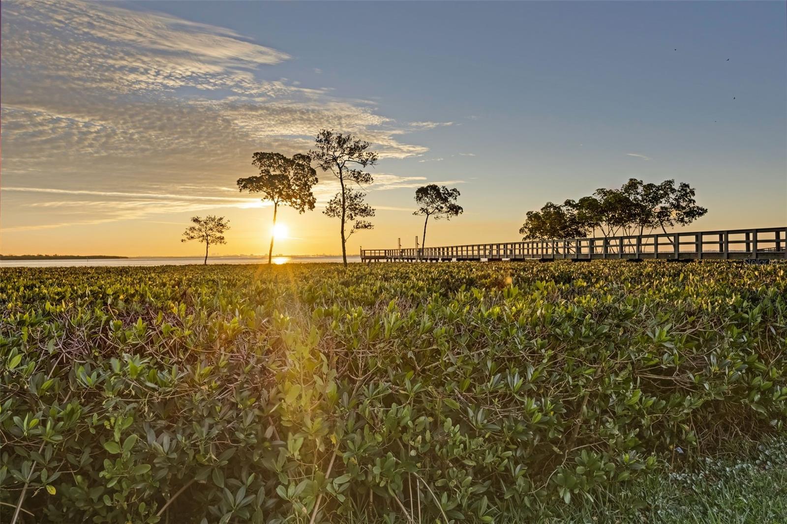 1407 N BAYSHORE DR, SAFETY HARBOR, FL, 34695