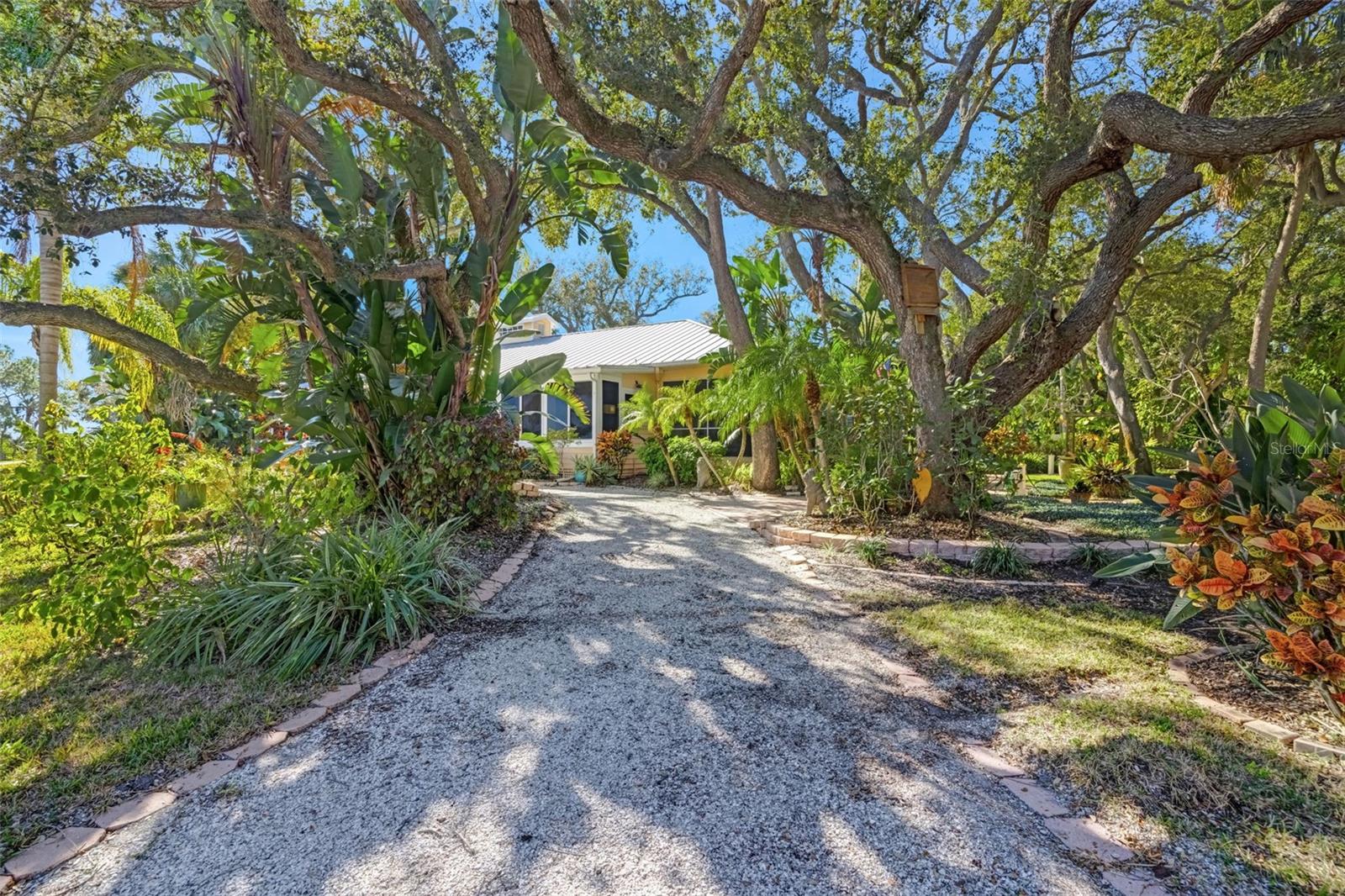 1407 N BAYSHORE DR, SAFETY HARBOR, FL, 34695