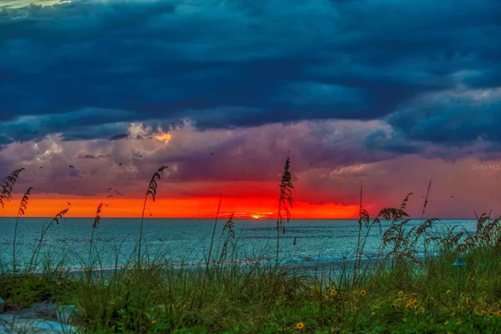 TB8465308 Property Photo