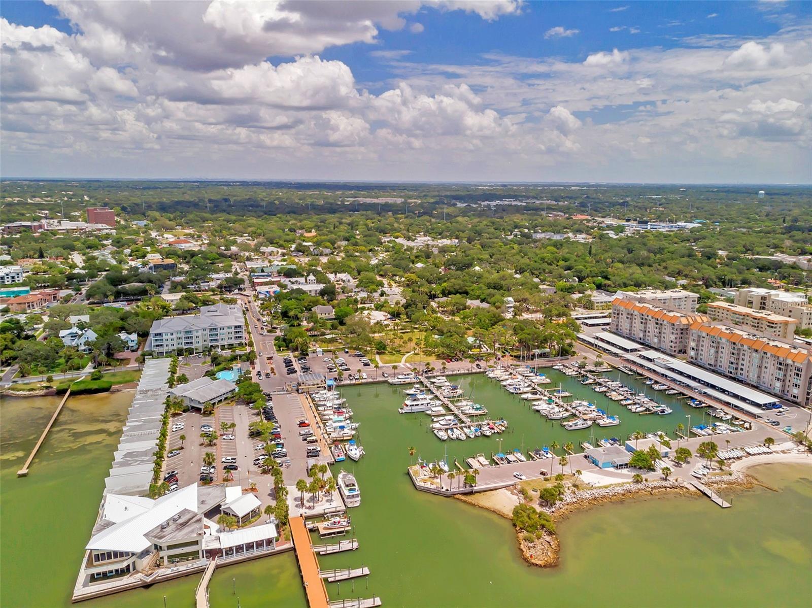 1841 DOUGLAS AVE, DUNEDIN, FL, 34698