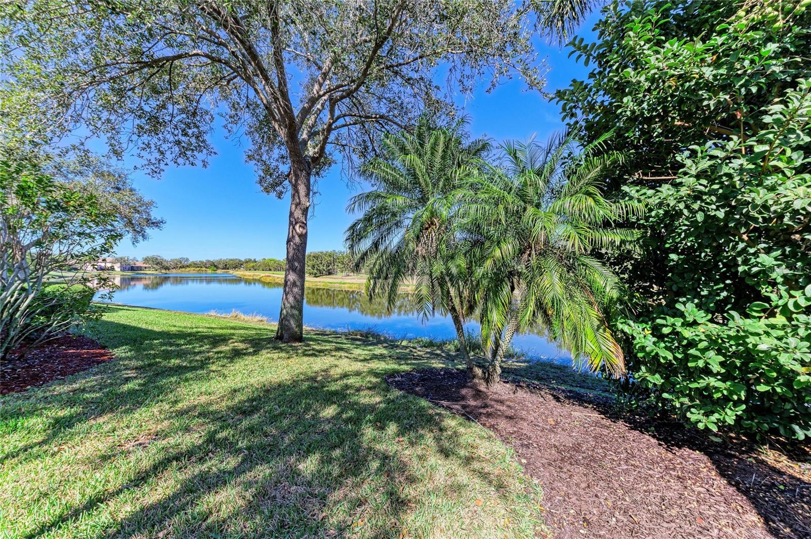 8226 BARTON FARMS BLVD, SARASOTA, FL, 34240