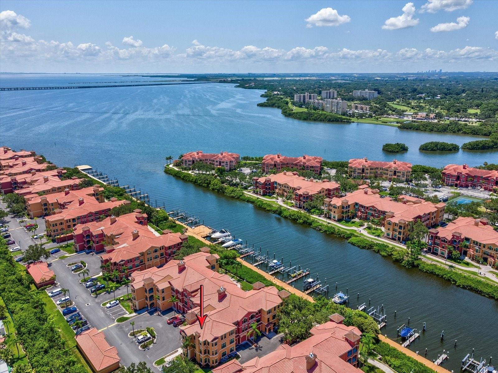 2733 VIA CIPRIANI #830B, CLEARWATER, FL, 33764