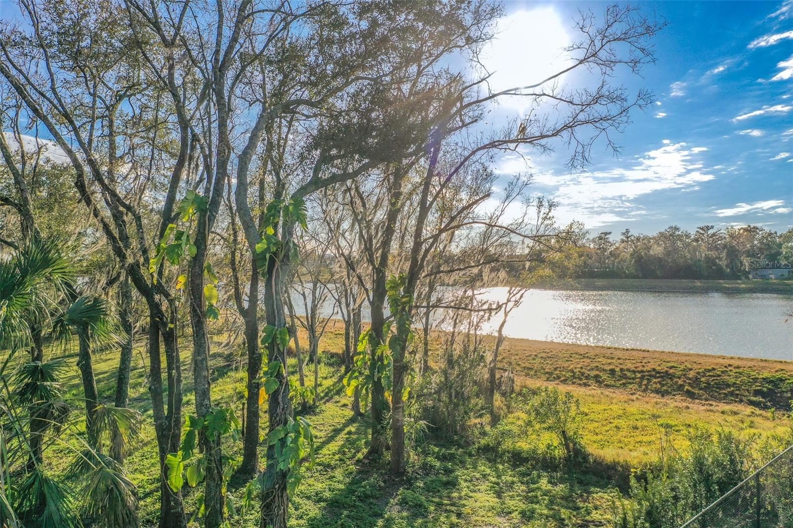 5028 CLEWIS AVE, TAMPA, FL, 33610