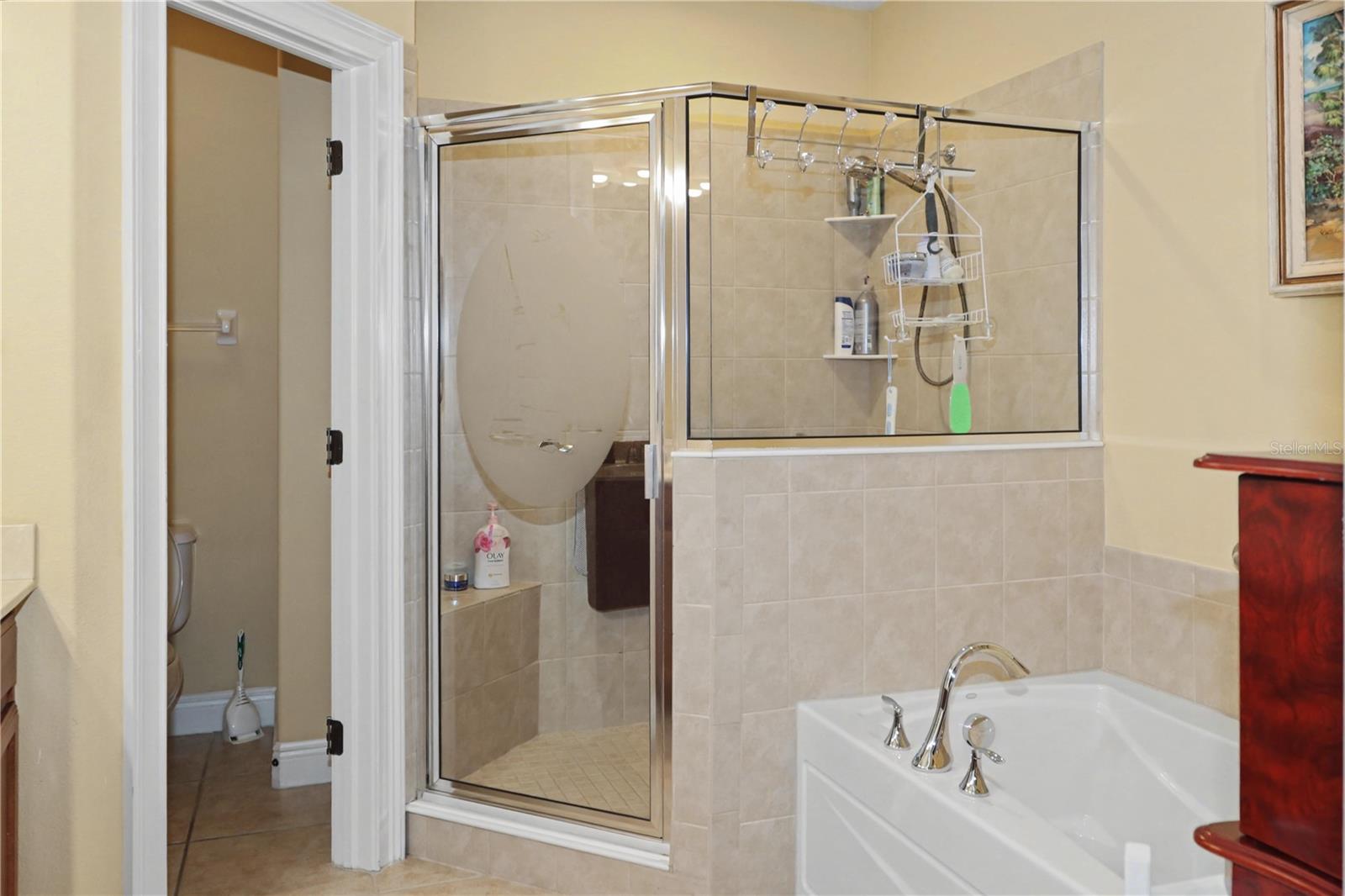 7669 CAPONATA BLVD, SEMINOLE, FL, 33777