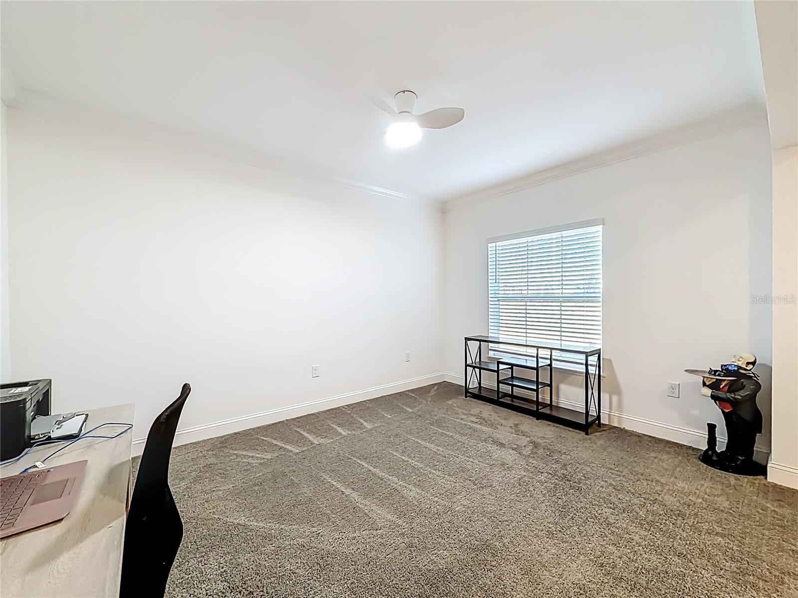 17479 MACASSAR RD, WEEKI WACHEE, FL, 34614