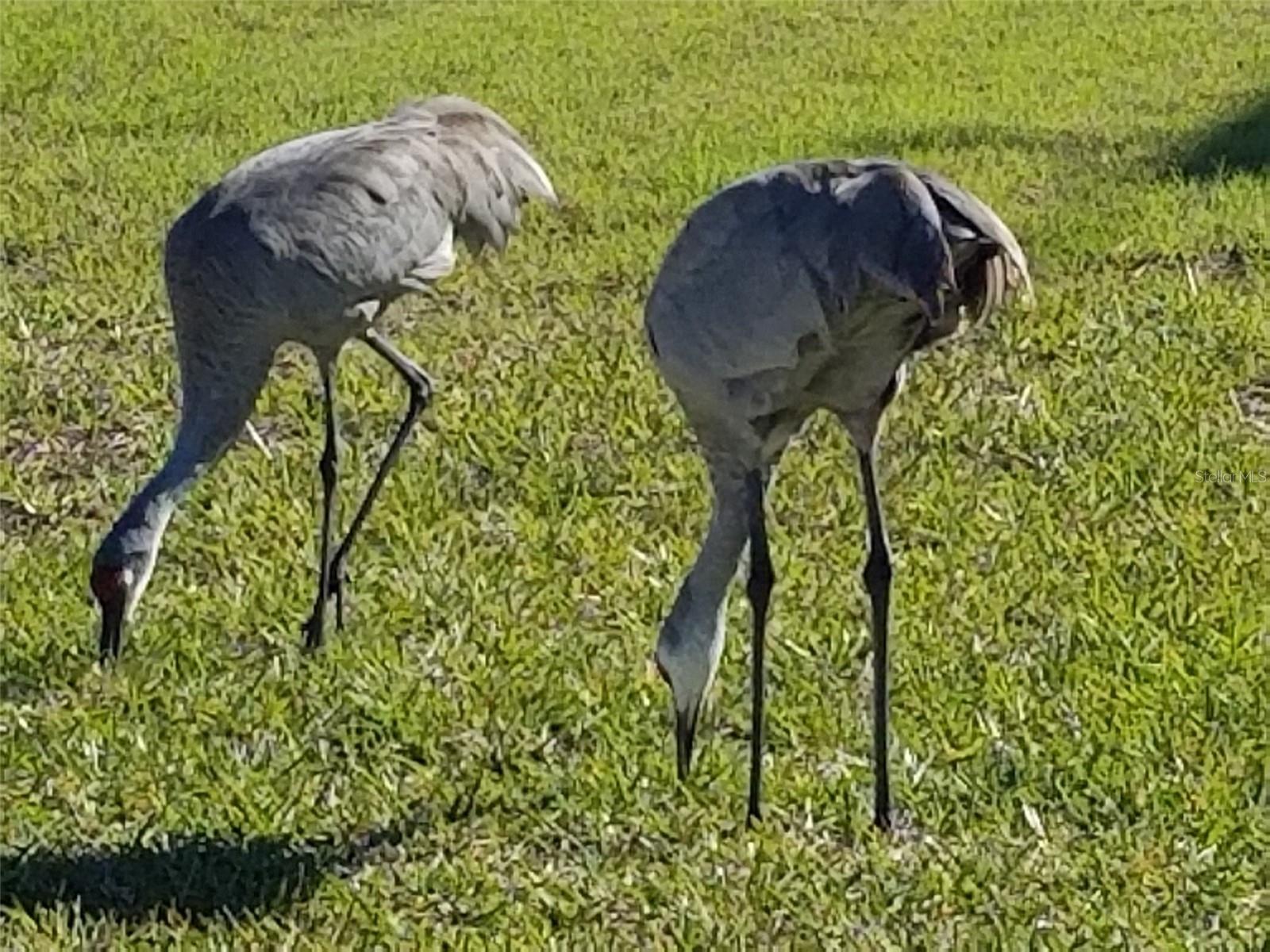 14603 MCDONALD LN, HUDSON, FL, 34667