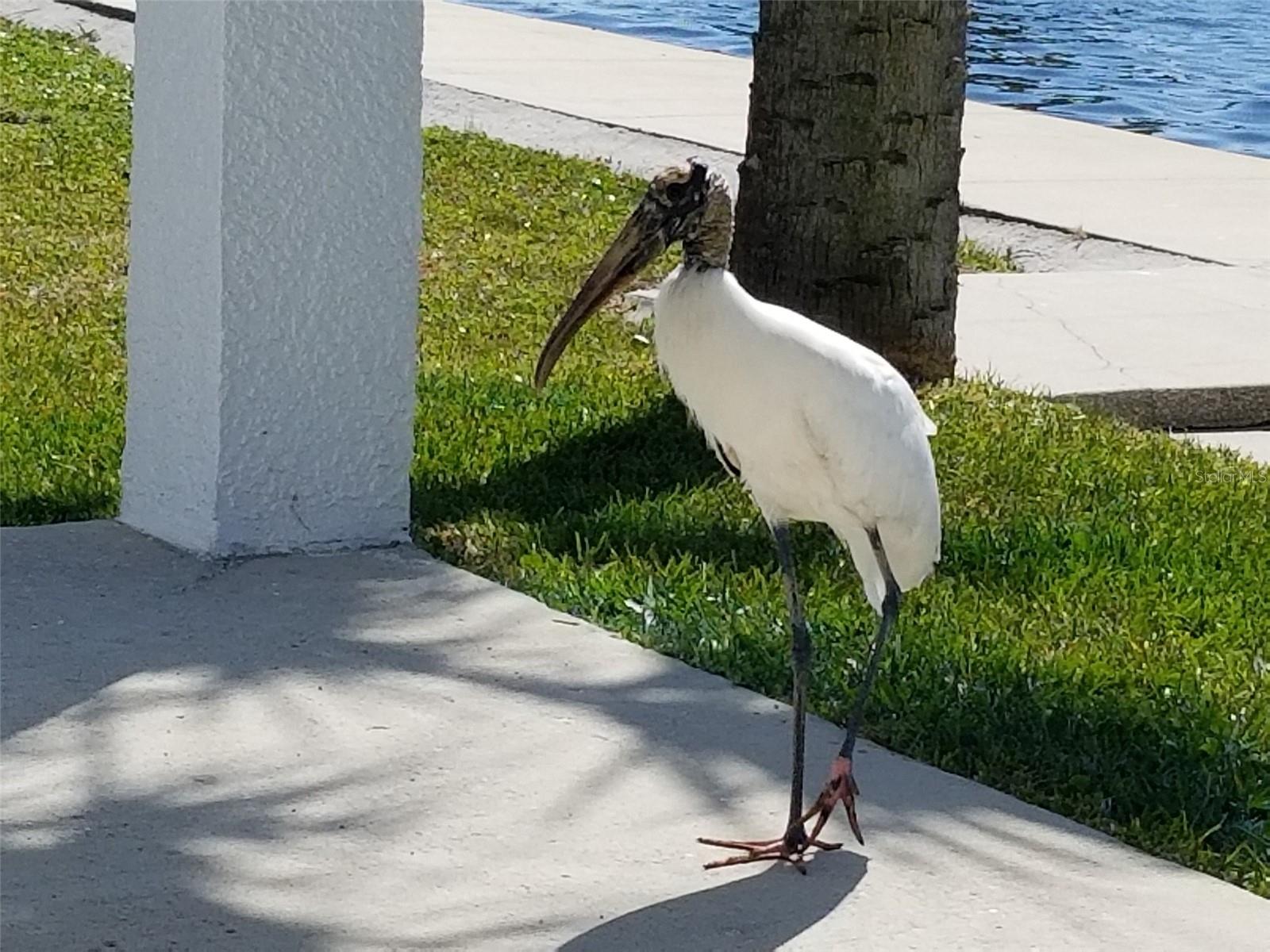 14603 MCDONALD LN, HUDSON, FL, 34667