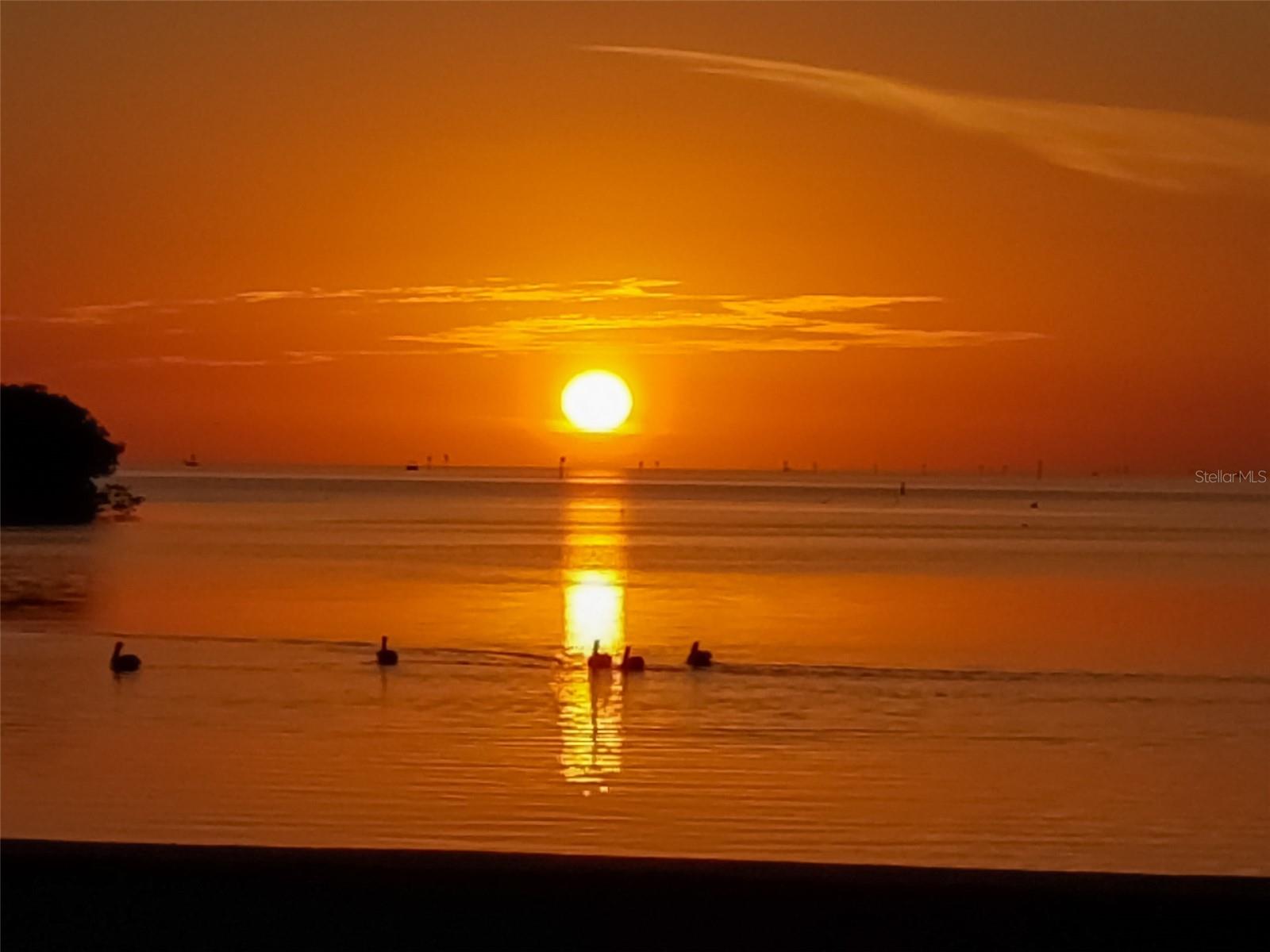 14603 MCDONALD LN, HUDSON, FL, 34667