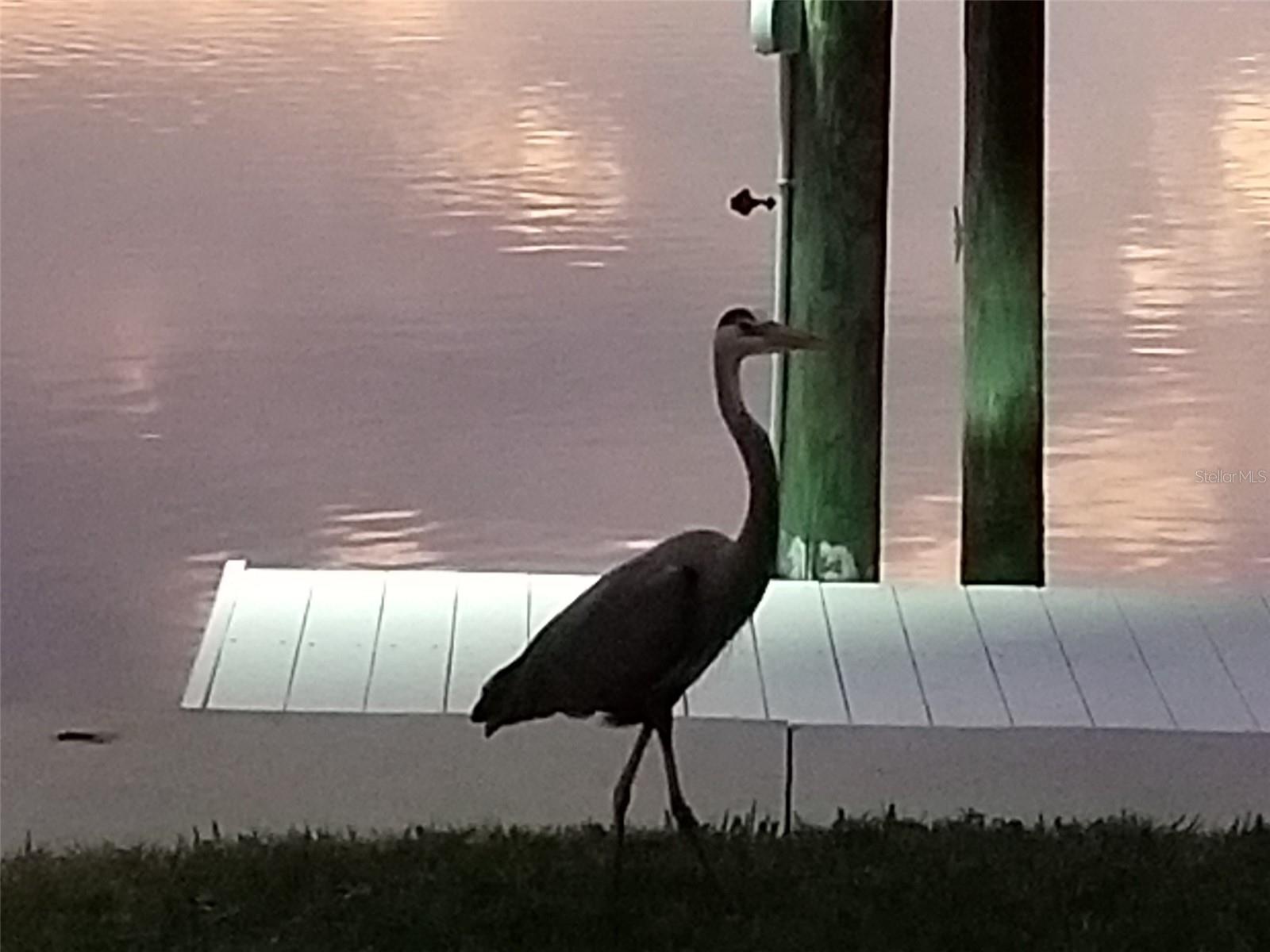 14603 MCDONALD LN, HUDSON, FL, 34667