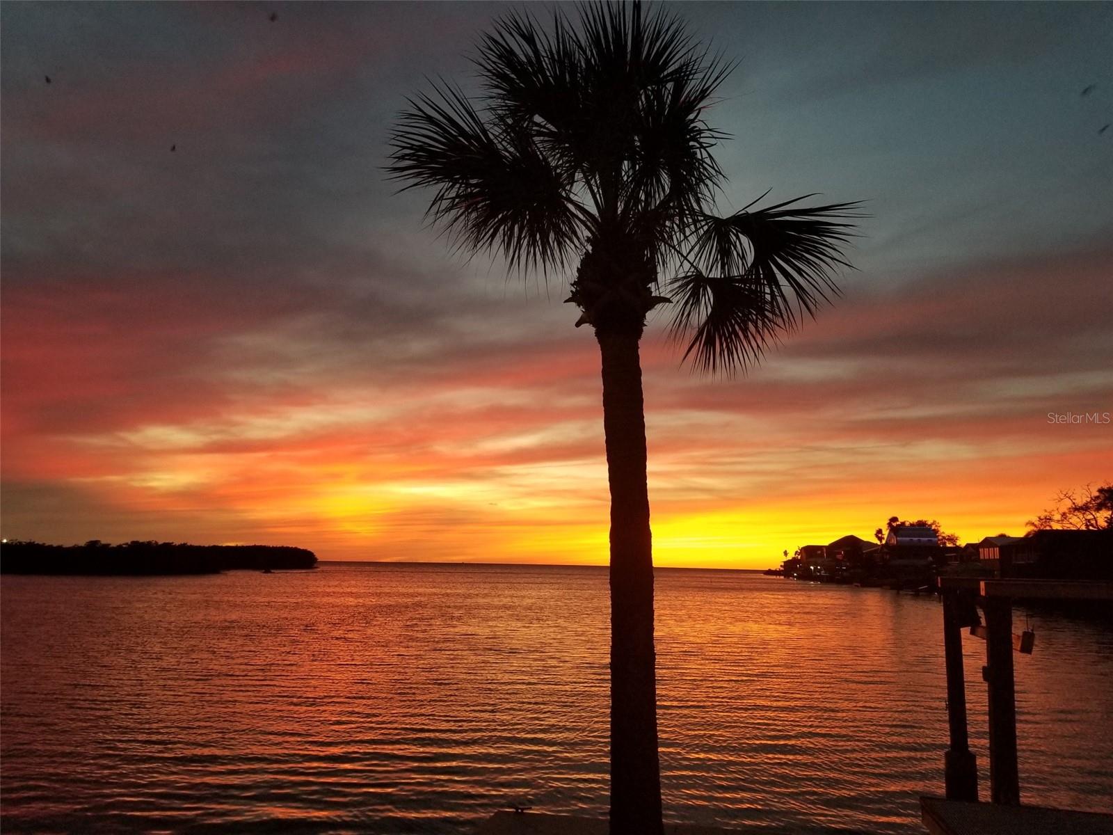 14603 MCDONALD LN, HUDSON, FL, 34667