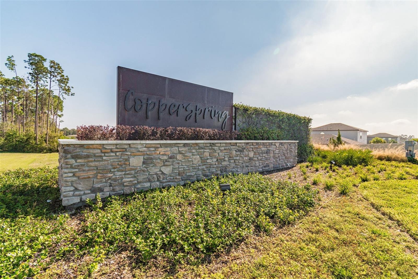 6065 SPRING CRAYFISH AVE, NEW PORT RICHEY, FL, 34653