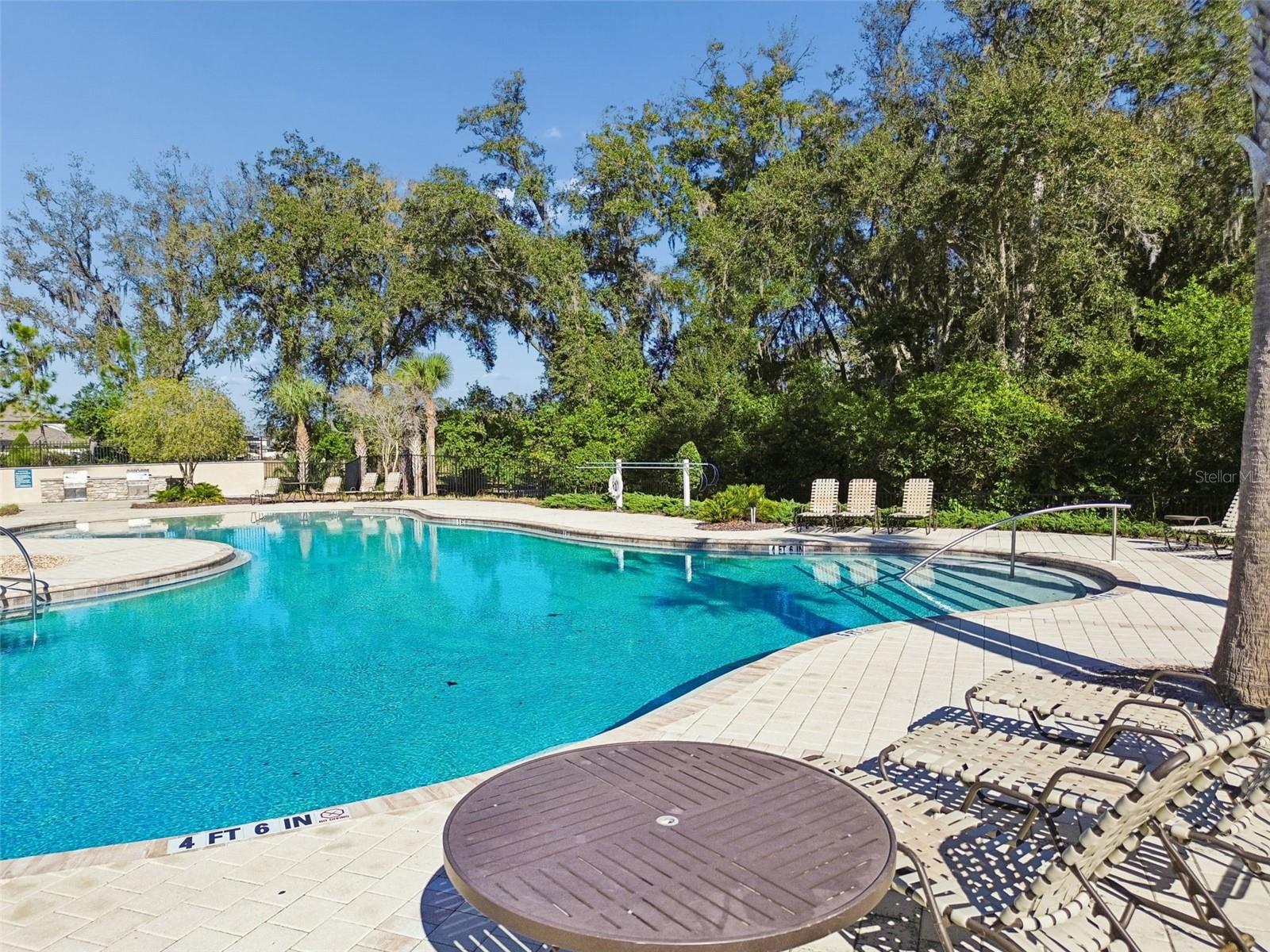 6065 SPRING CRAYFISH AVE, NEW PORT RICHEY, FL, 34653