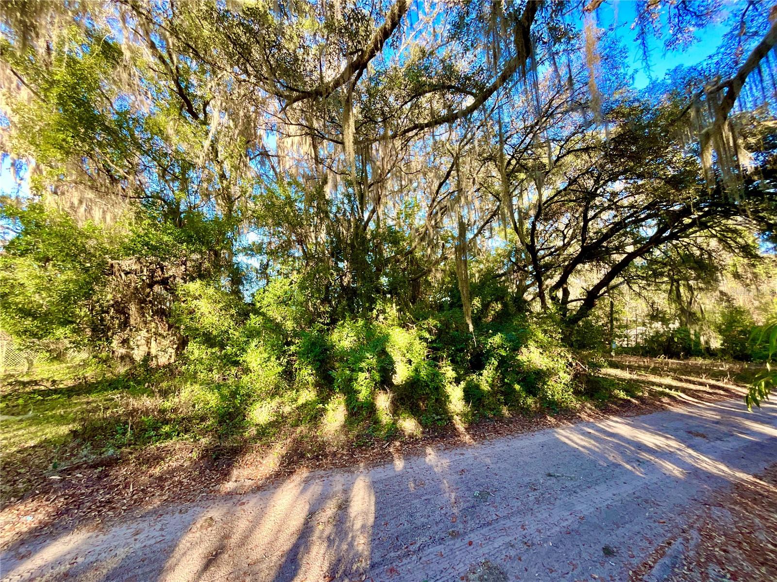TBD LAKEVIEW WAY, INTERLACHEN, FL, 32148
