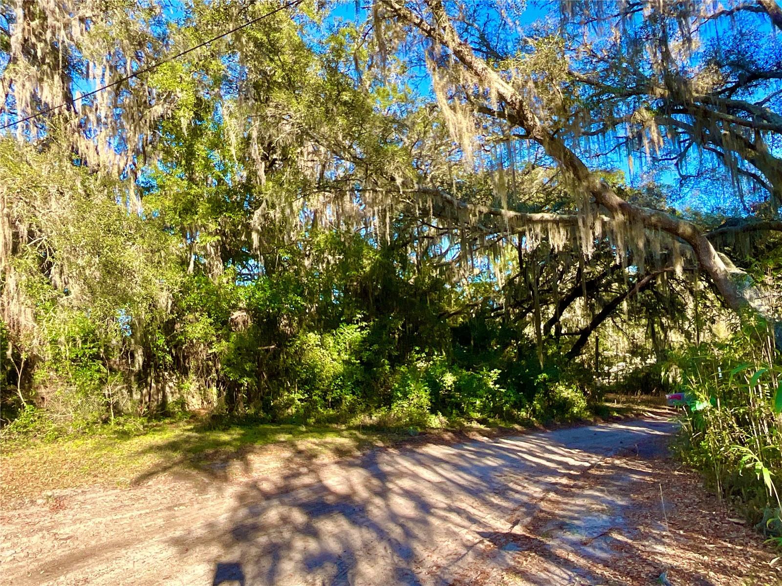 TBD LAKEVIEW WAY, INTERLACHEN, FL, 32148