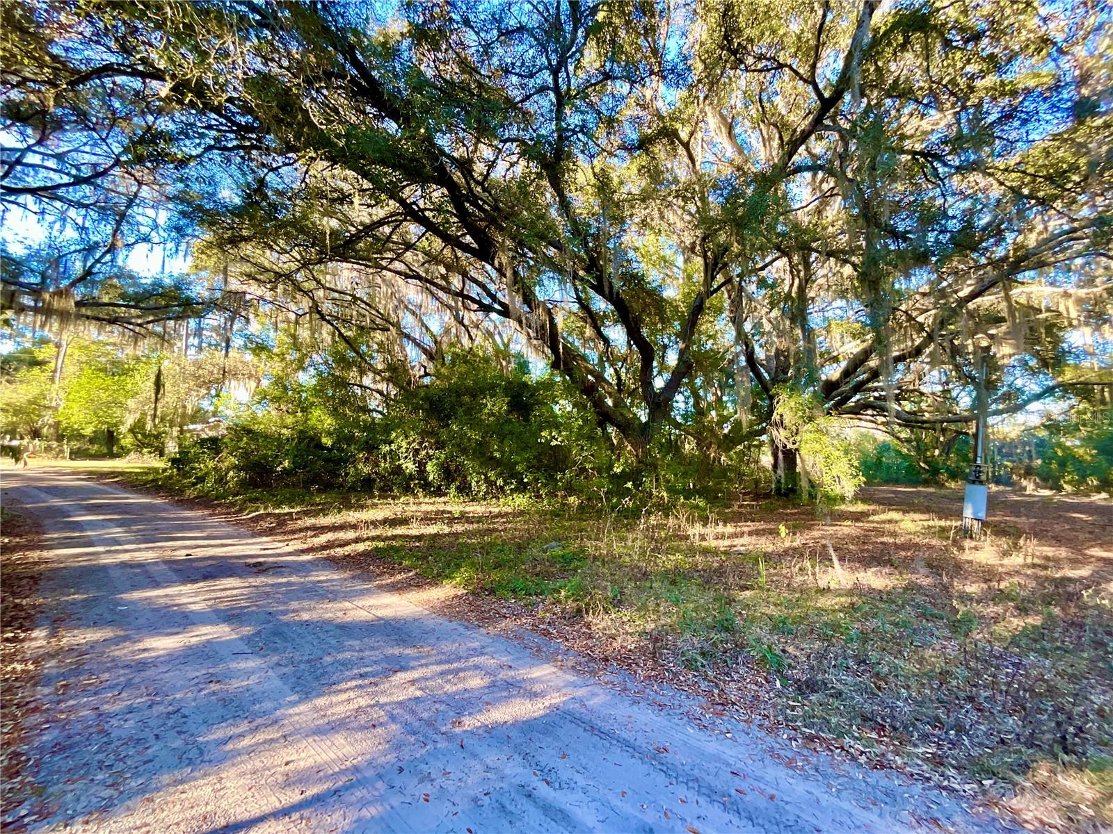 TBD LAKEVIEW WAY, INTERLACHEN, FL, 32148