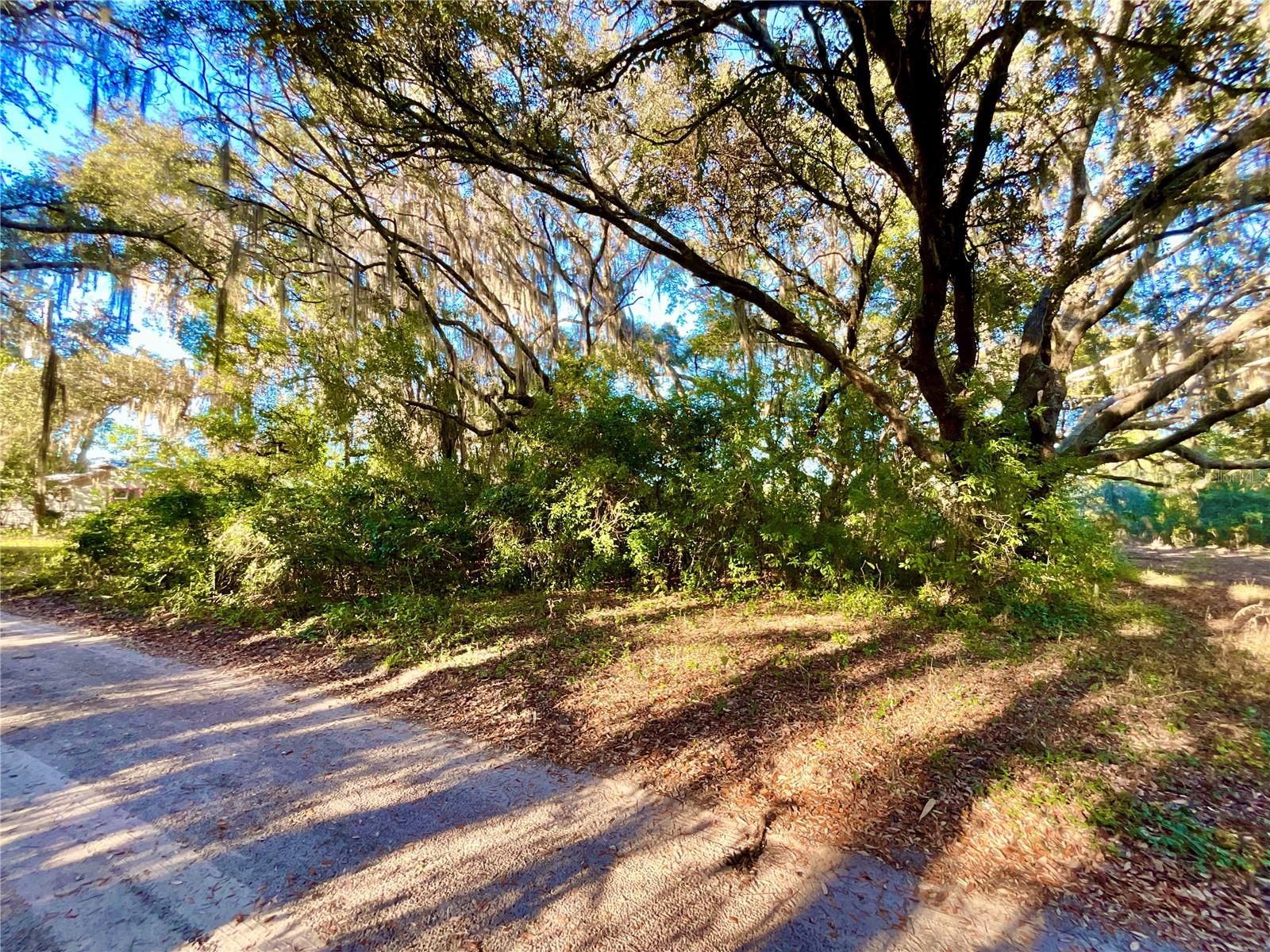 TBD LAKEVIEW WAY, INTERLACHEN, FL, 32148