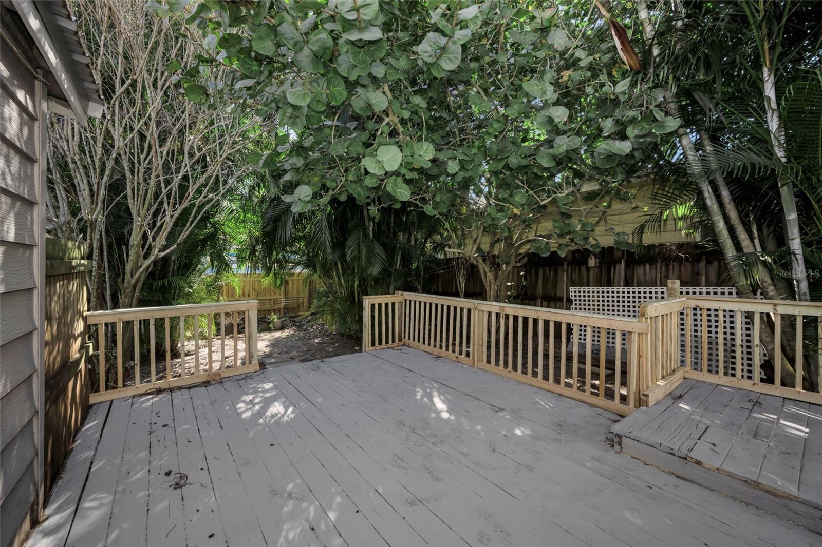 Deck extends into tropical back yard