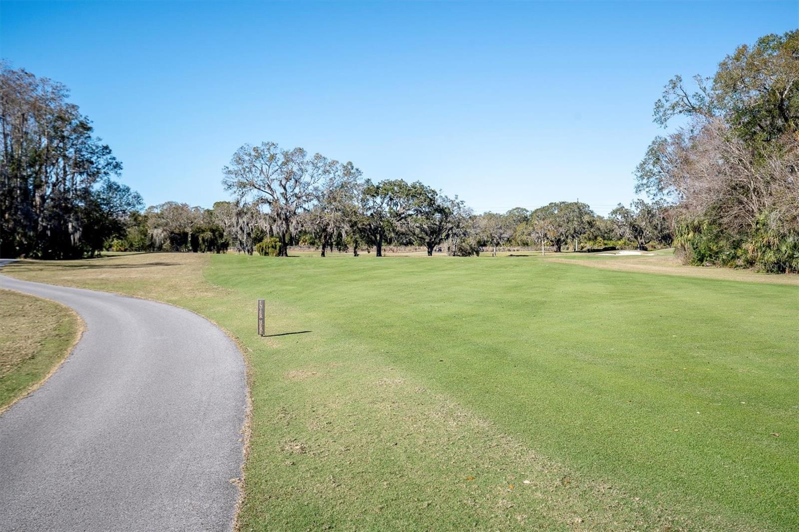 1051 ROYAL TROON CT, TARPON SPRINGS, FL, 34688