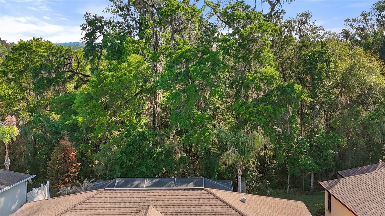 BACK YARD to PRESERVE