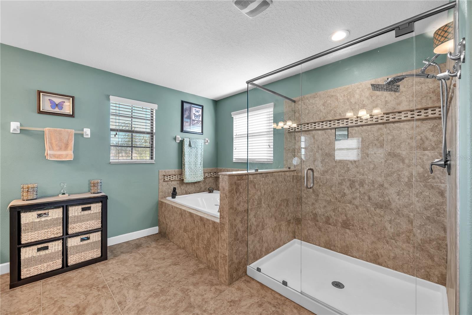 20006 SATIN LEAF AVE, TAMPA, FL, 33647