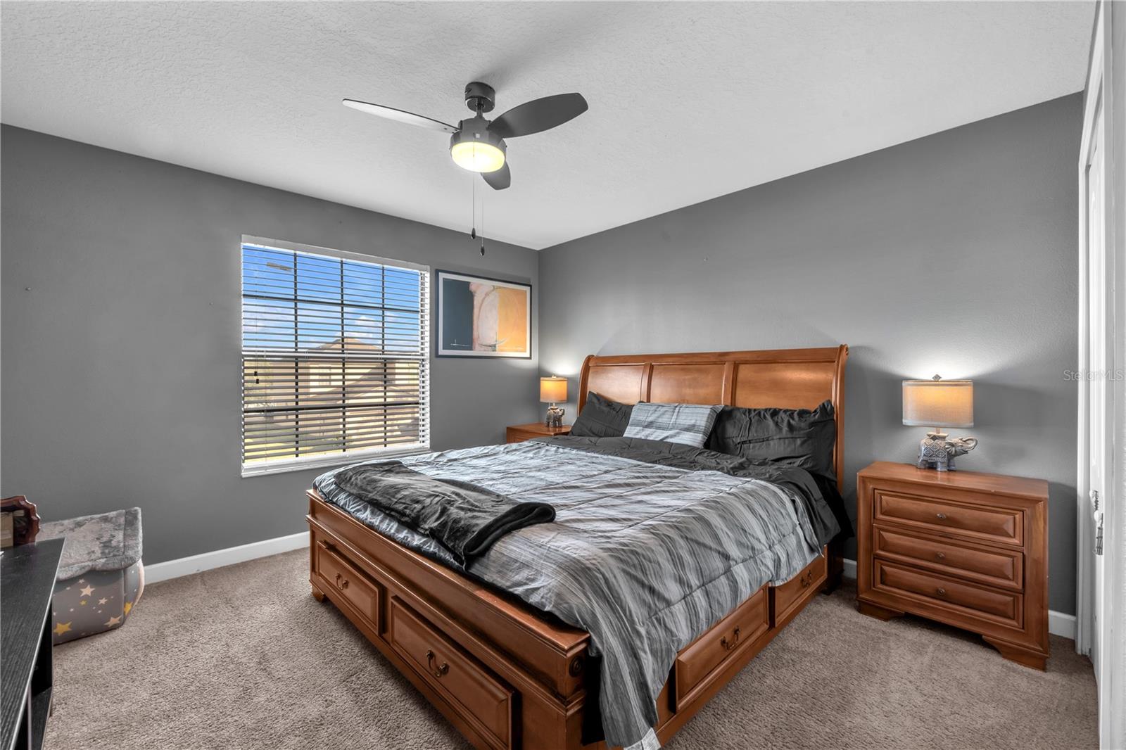 20006 SATIN LEAF AVE, TAMPA, FL, 33647