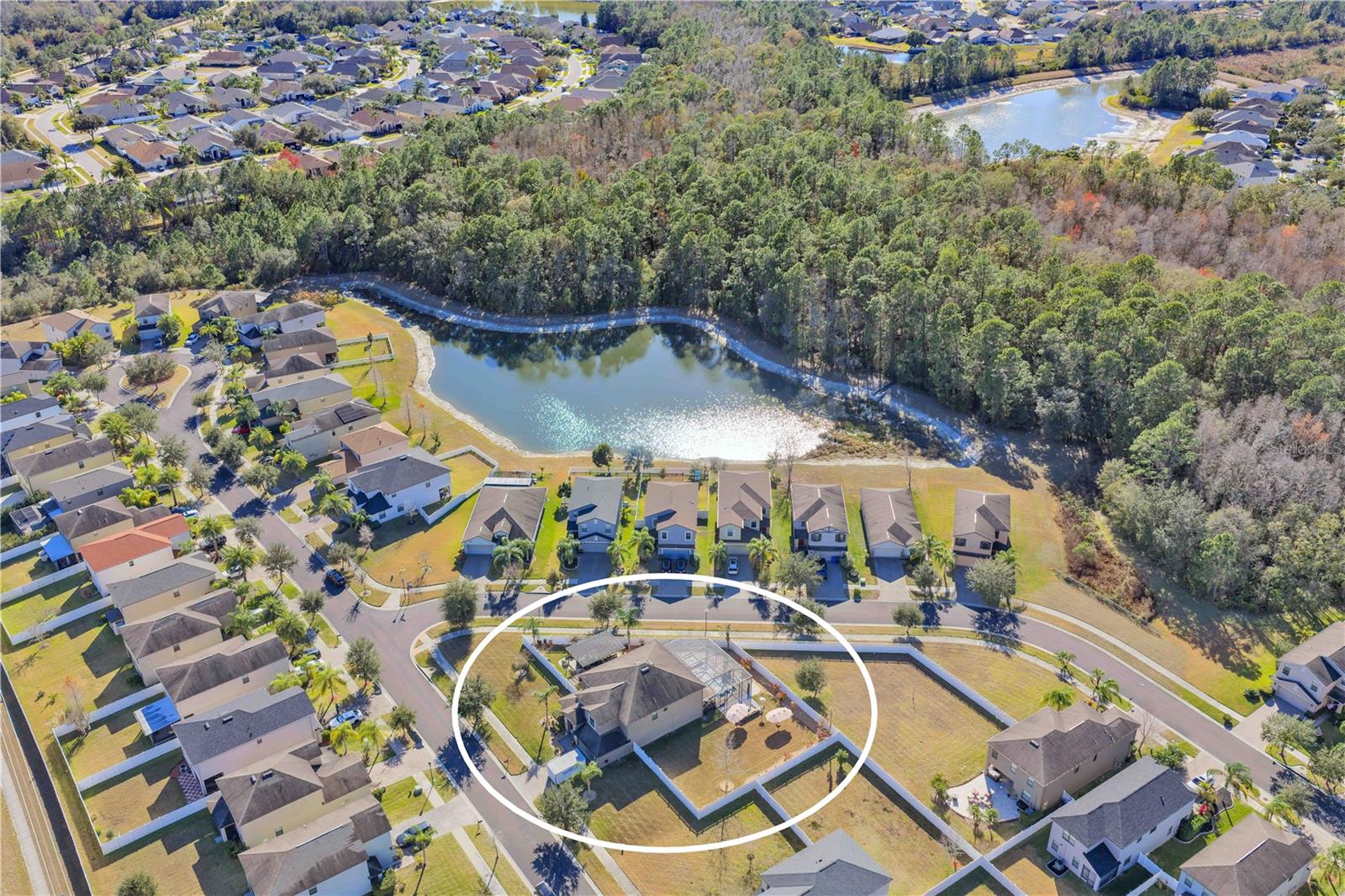 20006 SATIN LEAF AVE, TAMPA, FL, 33647